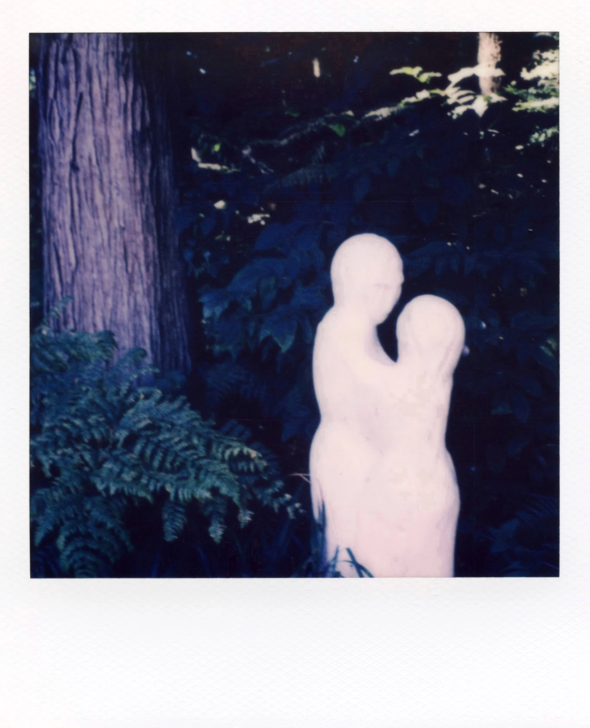 polaroid_sx70_066.jpg