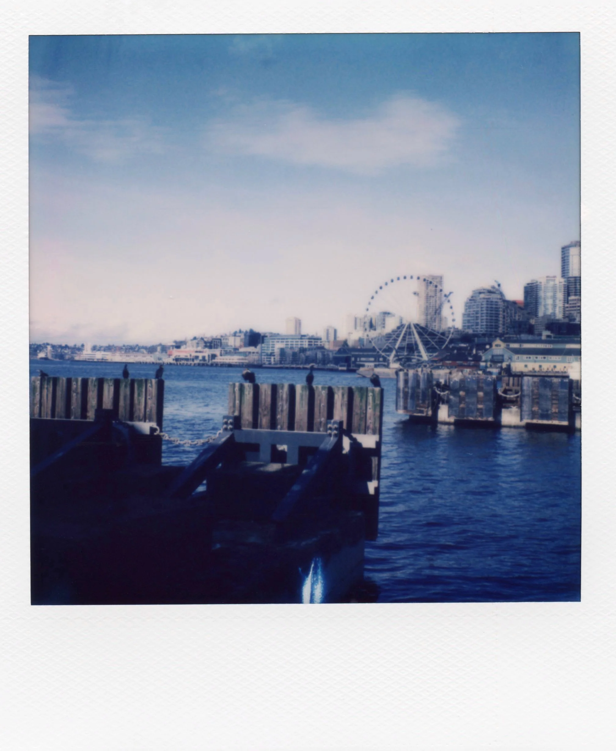 polaroid_sx70_075.jpg
