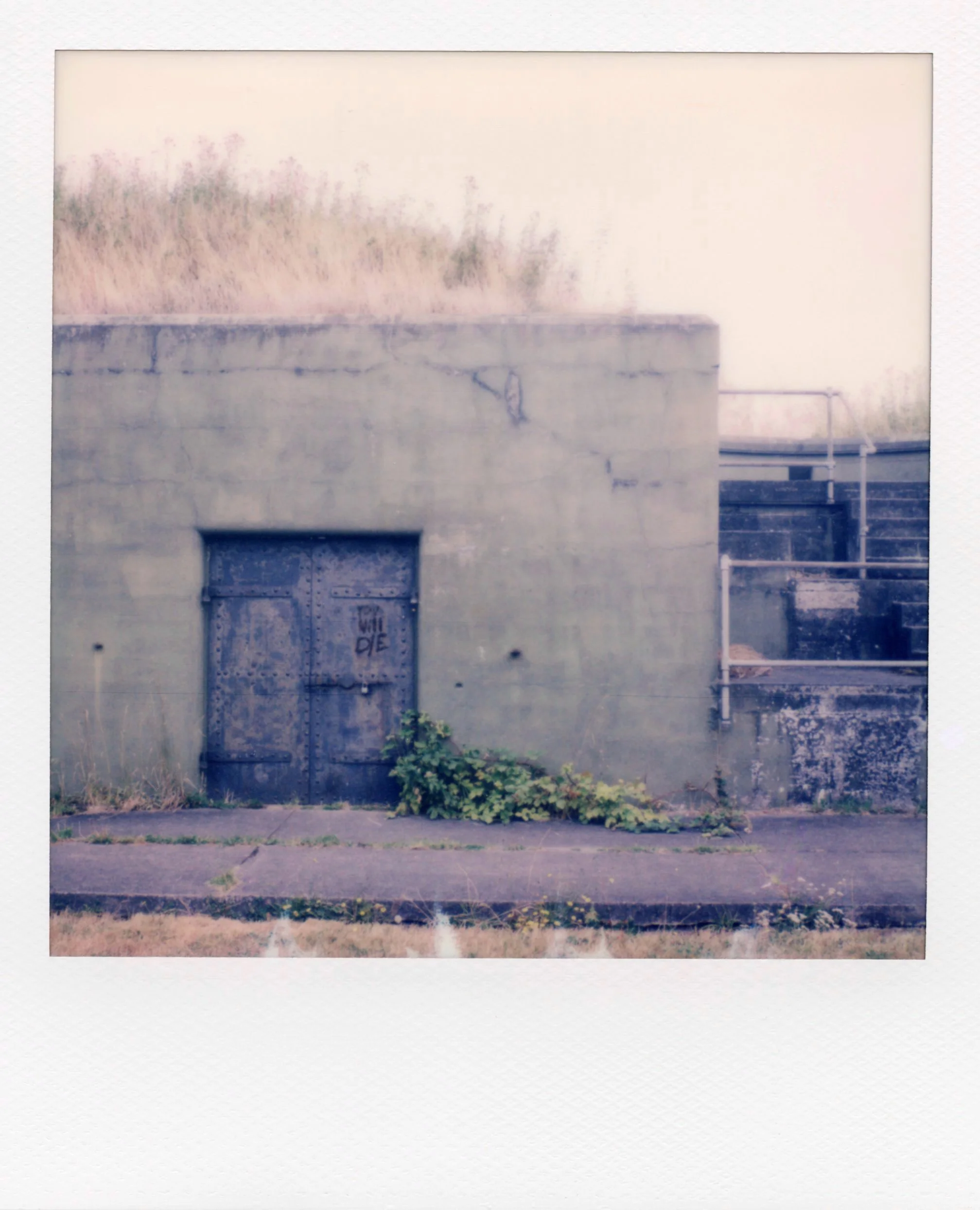 polaroid_sx70_195.jpg