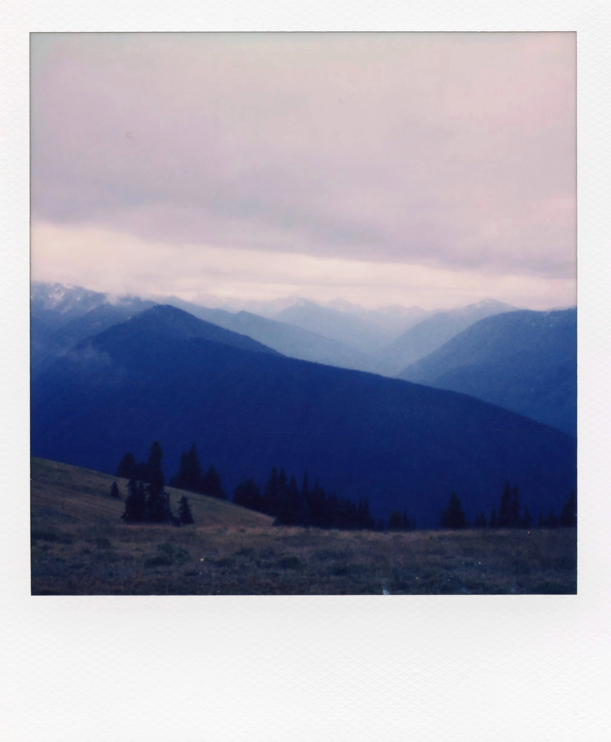 polaroid_sx70_186.jpg