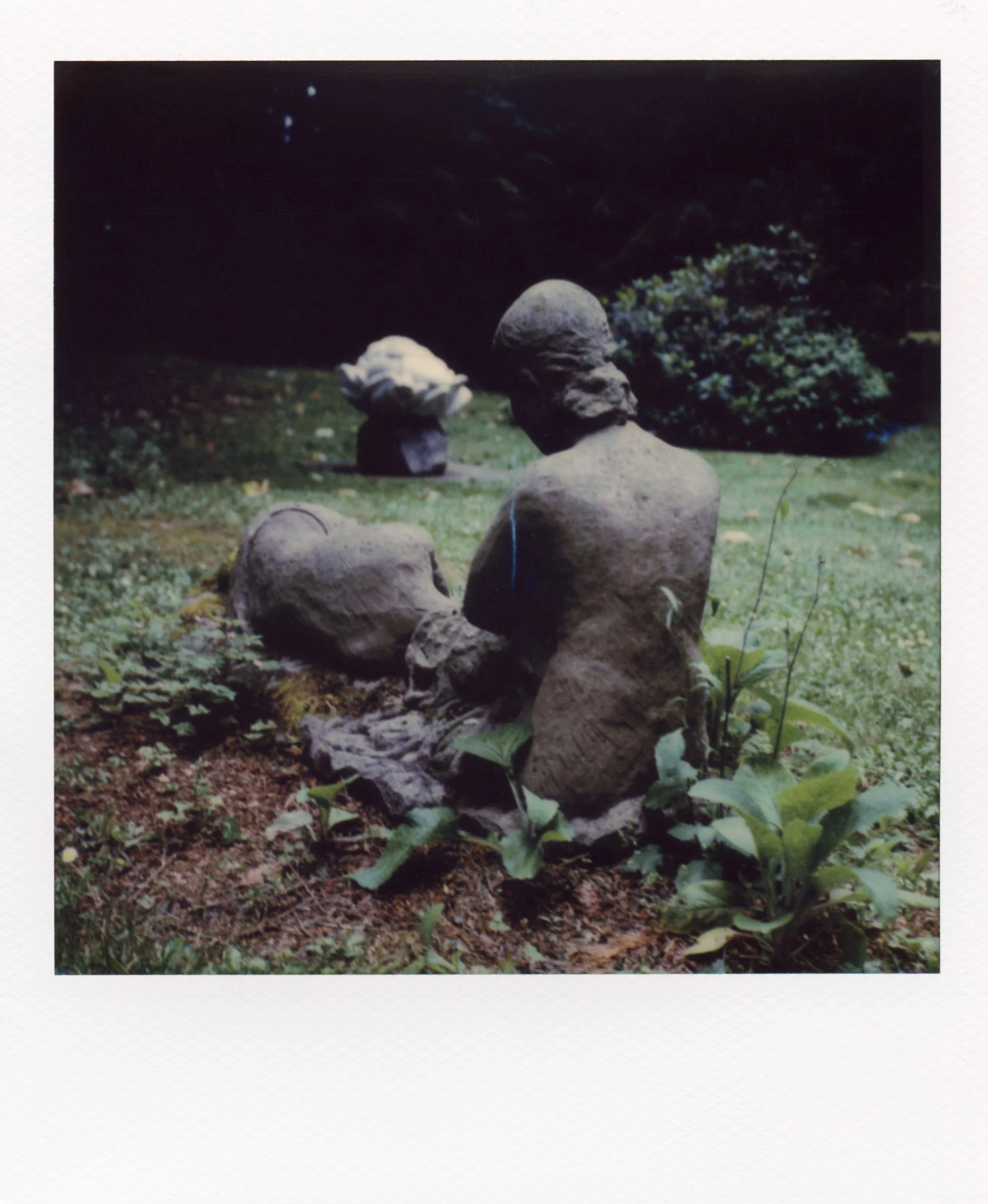polaroid_sx70_119.jpg