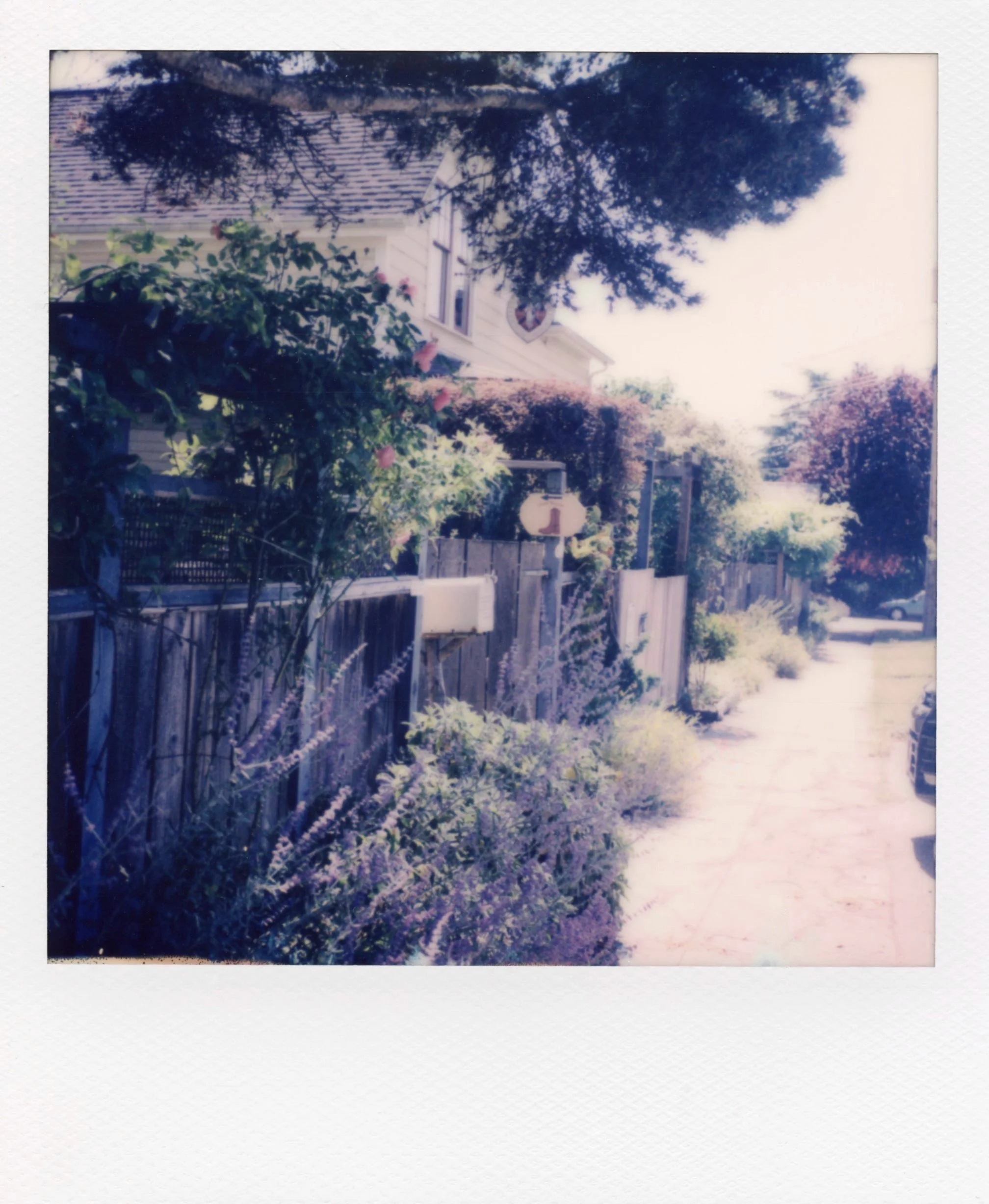 polaroid_sx70_182.jpg