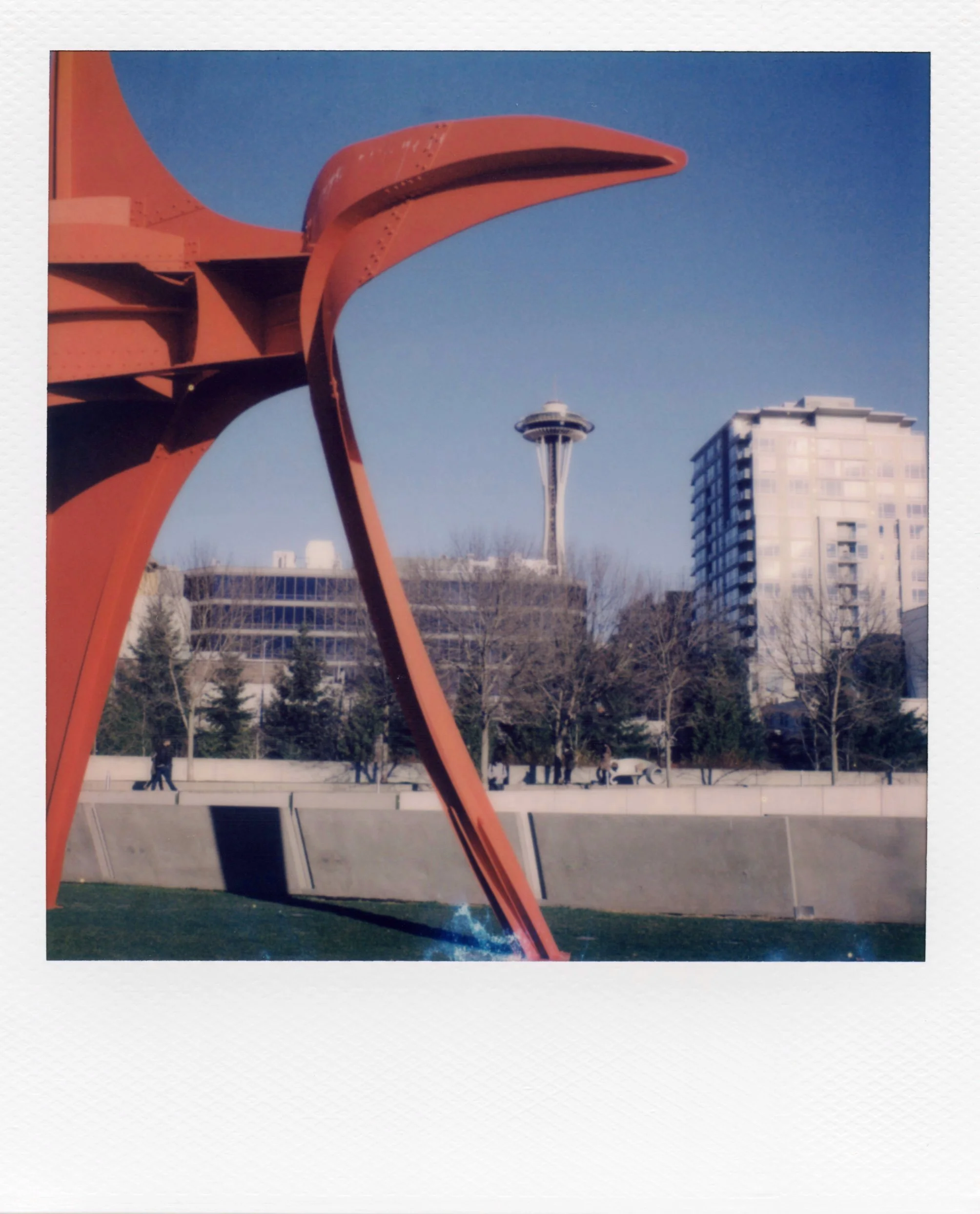 polaroid_sx70_141.jpg