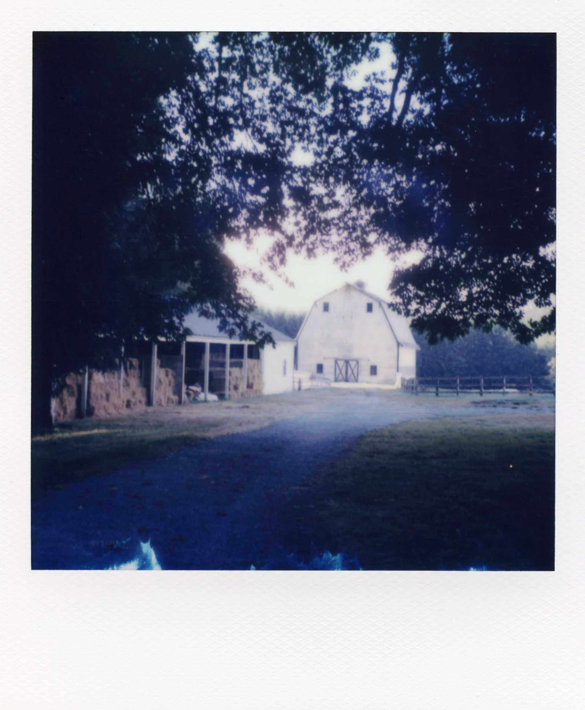 polaroid_sx70_188.jpg