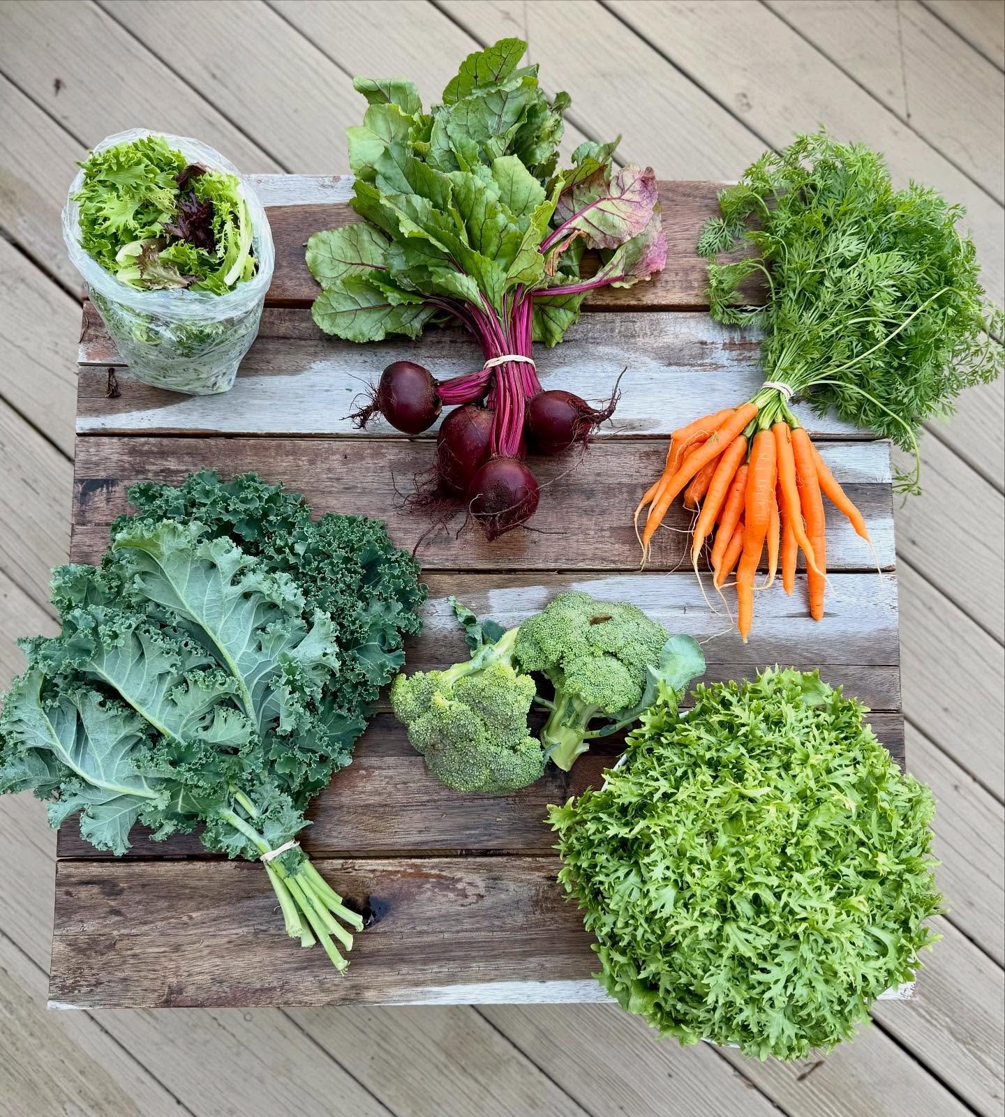 Throwing it back to Week 6 CSA: carrots 🥕, broccoli 🥦, lettuce mix 🥬, red beets 🫜, kale, fris&eacute;e! 
#certifiedorganic #mendhamnj #morristownnj #buckhillfarmnj #njfarms #communitysupportedagriculture