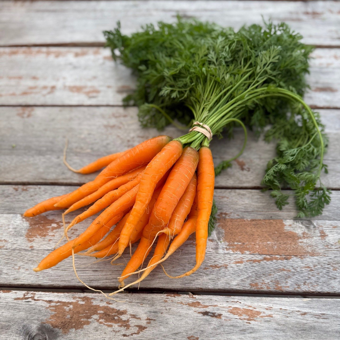The online farm stand is OPEN! For those who may have missed CSA signup, or are looking to purchase more yummy (and by yummy, we mean certified organic, pesticide-free!) items for the week, head to our online store to place an order to pick up at the
