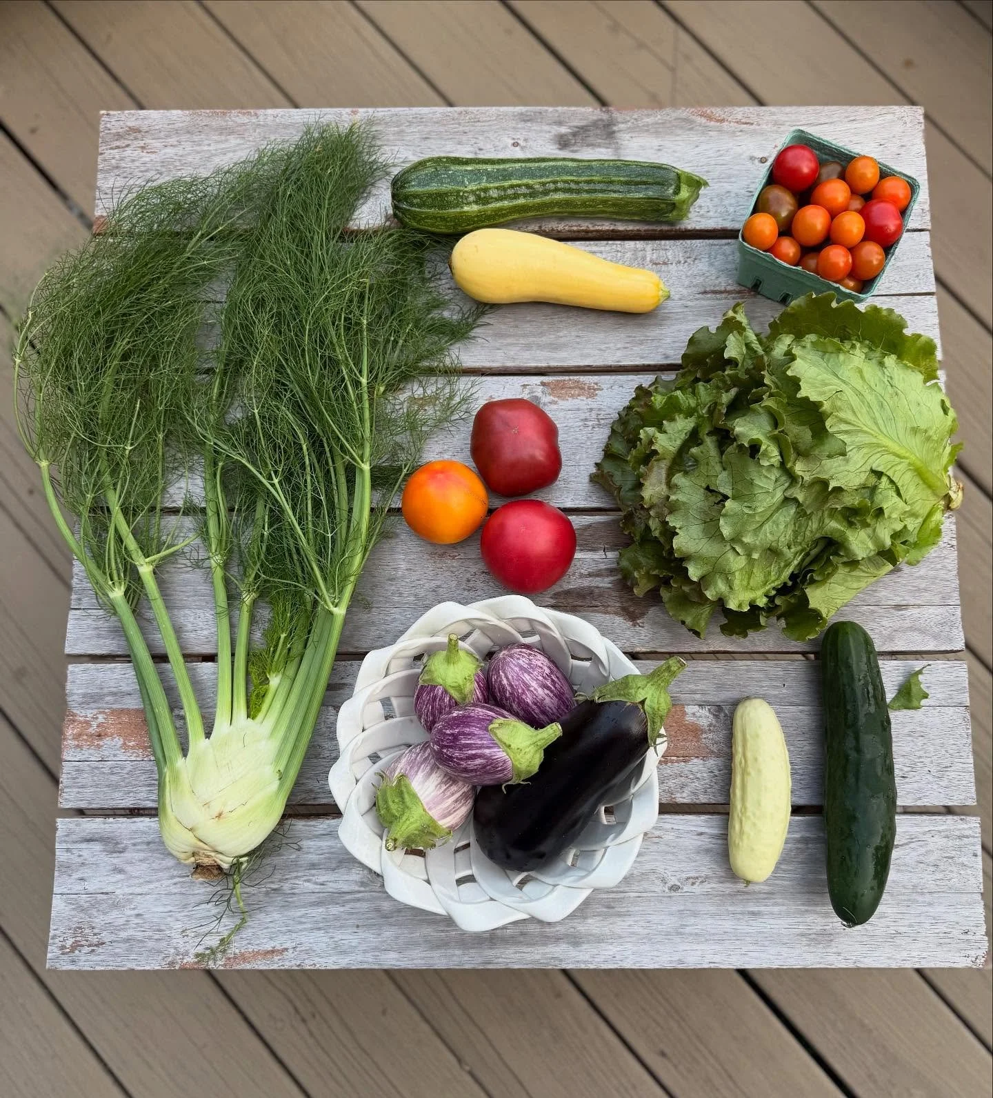 CSA Week 13, we&rsquo;re keeping it green!

Fennel, zucchini, cherry tomatoes, big tomatoes, summer crisp lettuce head, cucumbers, eggplant. Yum!

#certifiedorganic #mendhamnj #morristownnj #buckhillfarmnj #njfarms #communitysupportedagriculture