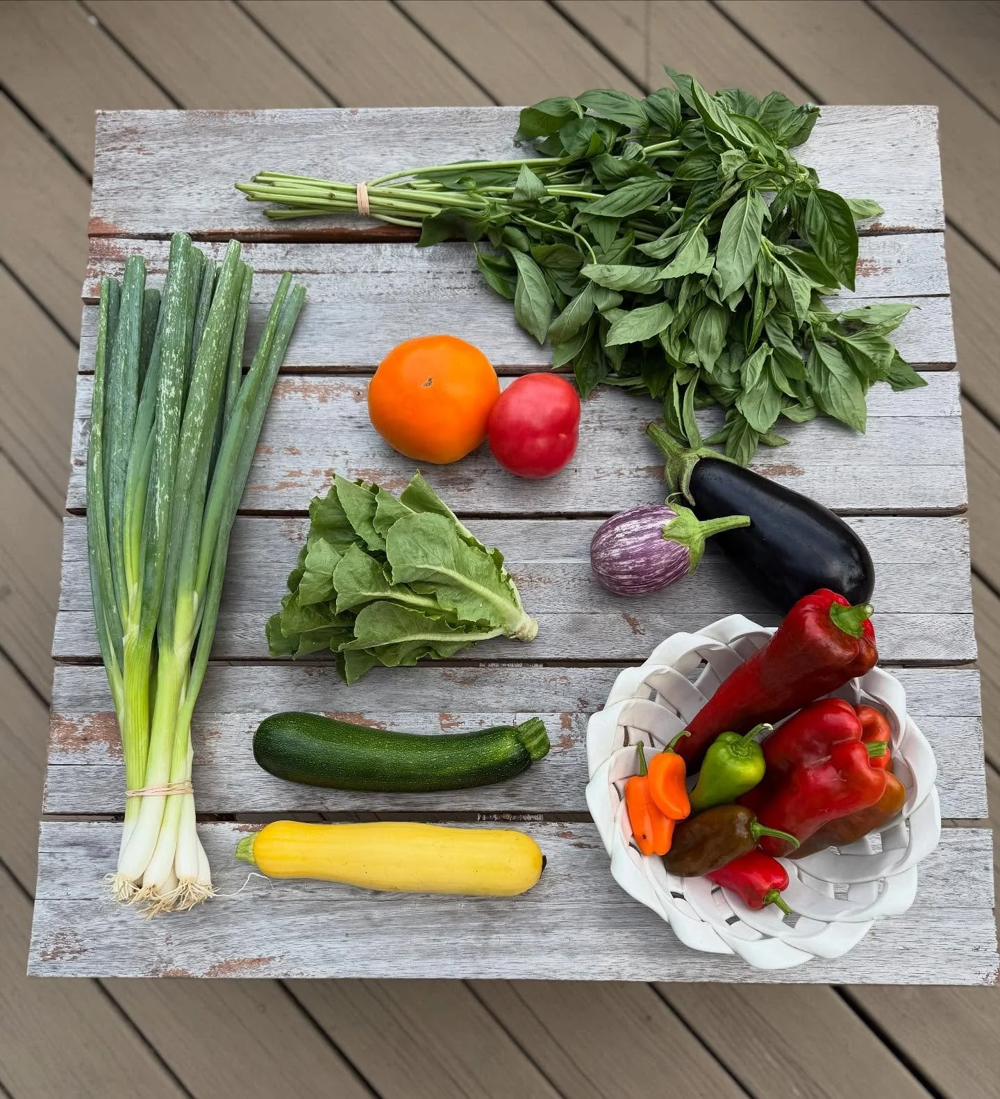 CSA Week 14!

Sweet peppers, zucchini, big tomatoes, eggplant, mini romaine lettuce head, scallion/negi onion, basil. Plus, of course, our flowers! (And yes, you may have spotted some aromatic shiso in this week&rsquo;s bouquet!)

#certifiedorganic #