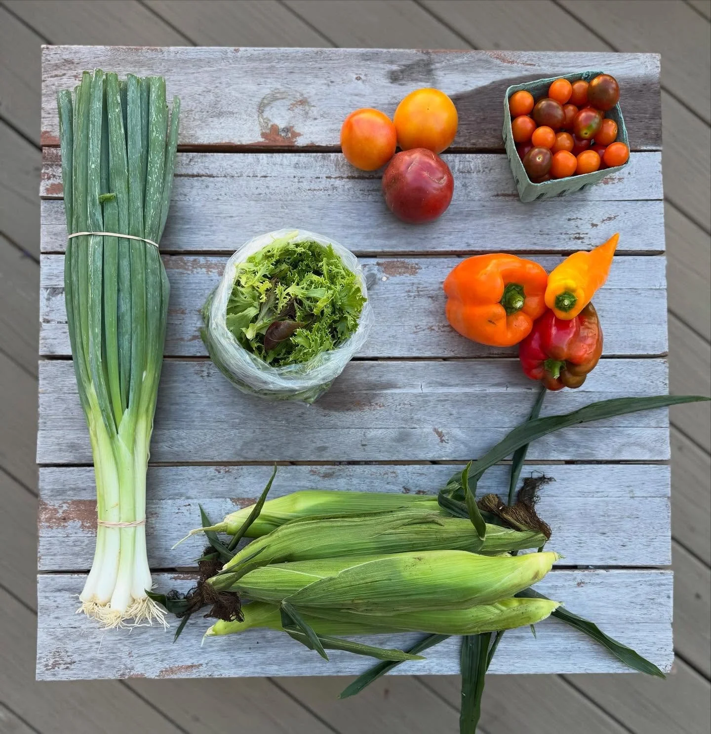CSA Week 15!

Negi onion style scallions, sweet korn, sweet peppers, big tomatoes, mixed cherry tomatoes, lettuce mix. Yum!

#certifiedorganic #mendhamnj #morristownnj #buckhillfarmnj #njfarms #communitysupportedagriculture