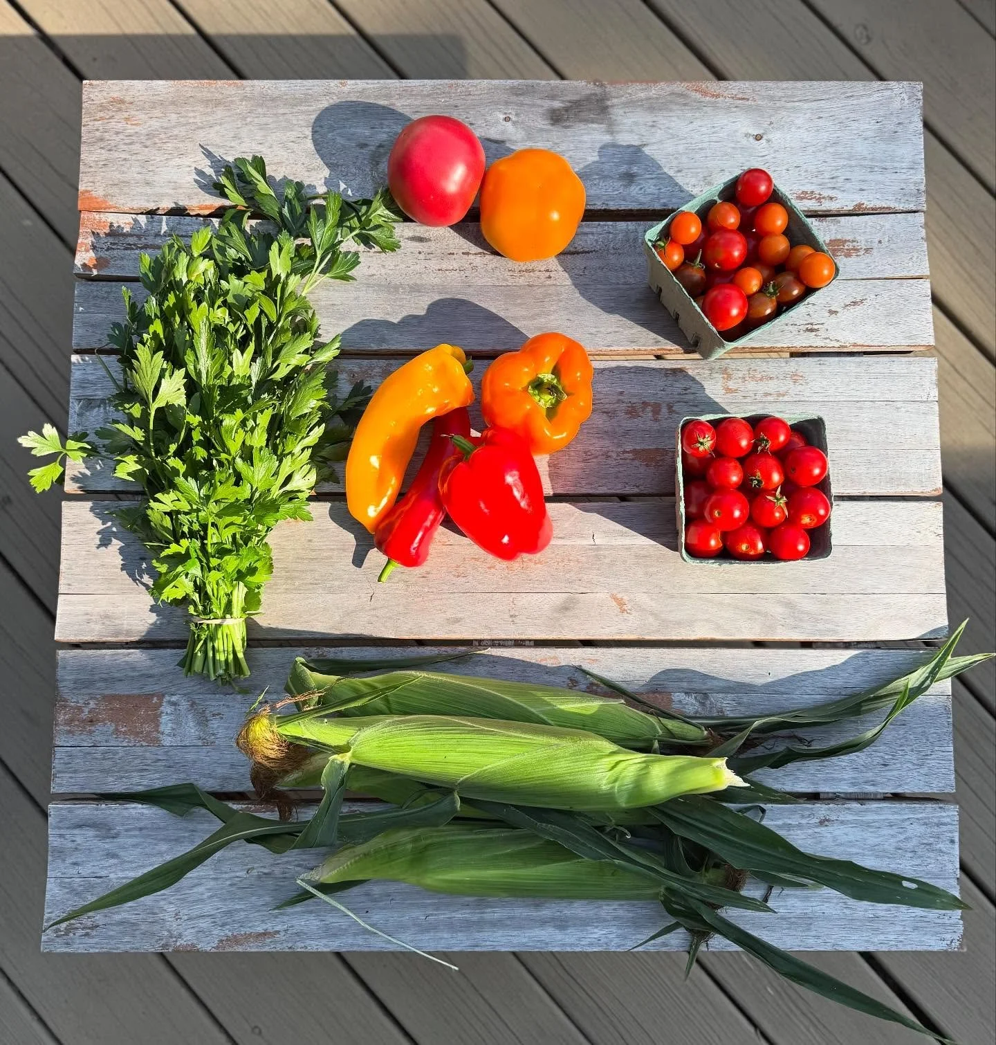 CSA Week 16!

This week we had sweet peppers, big tomatoes,  mixed cherry tomatoes, red cherry tomatoes, sweet corn, and parsley.

#certifiedorganic #mendhamnj #morristownnj #buckhillfarmnj #njfarms #communitysupportedagriculture