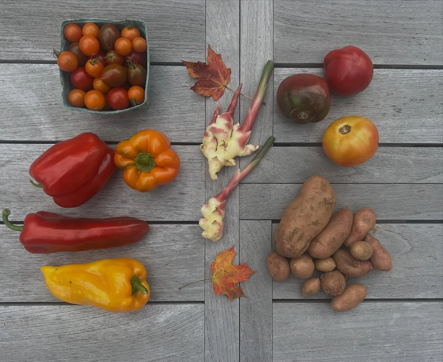 CSA Week 17!

Fresh baby ginger, new fingerling potatoes, big tomatoes, mixed cherry tomatoes, sweet peppers.

#certifiedorganic #mendhamnj #morristownnj #buckhillfarmnj #njfarms #communitysupportedagriculture