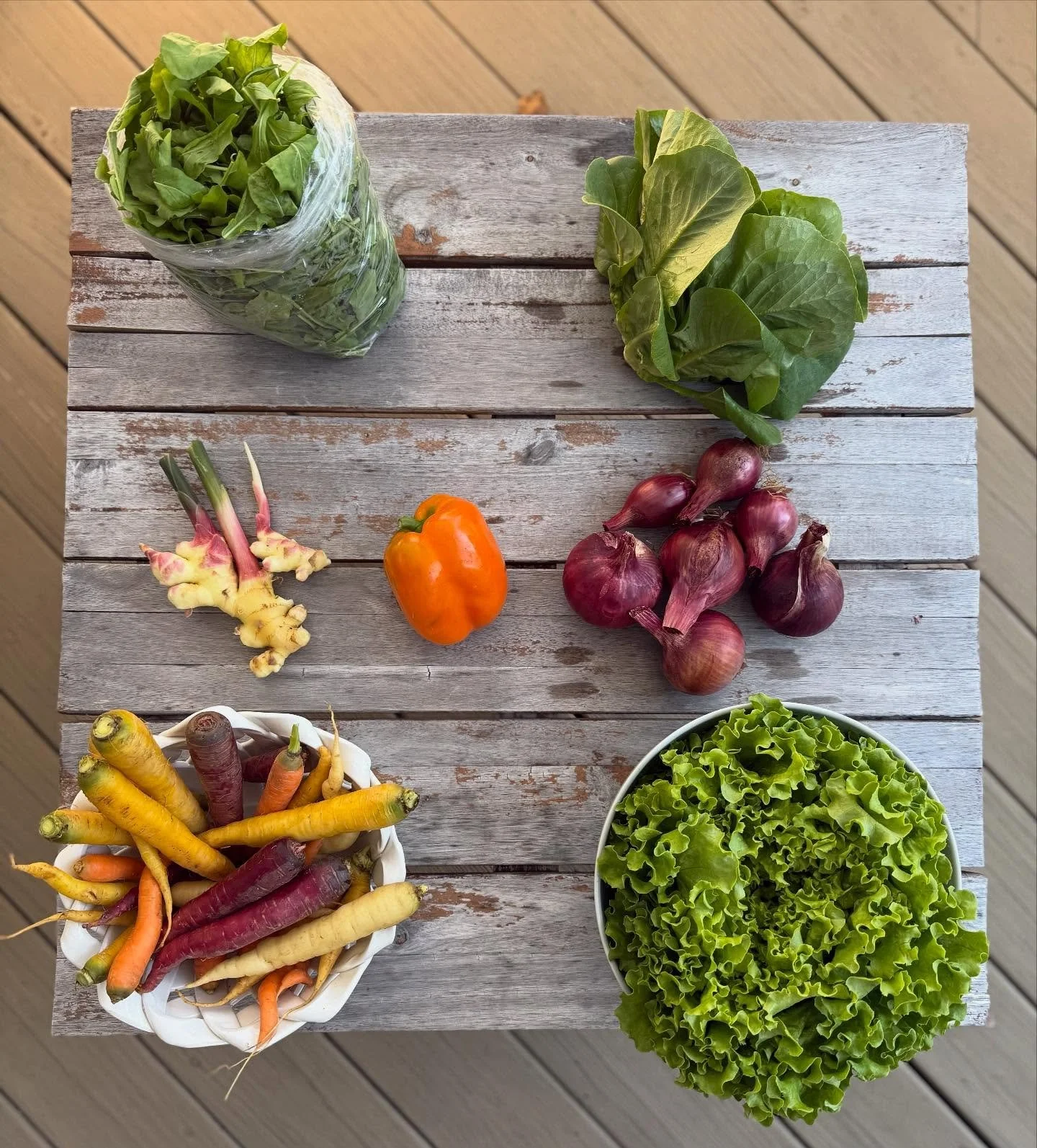 CSA Week 19! Lots of yummy fall foods for our CSA members last week.

Arugula, mini gem lettuce head, red storage onion, fresh baby ginger, muir green leaf lettuce heads, rainbow carrots, sweet pepper.

#certifiedorganic #mendhamnj #morristownnj #buc