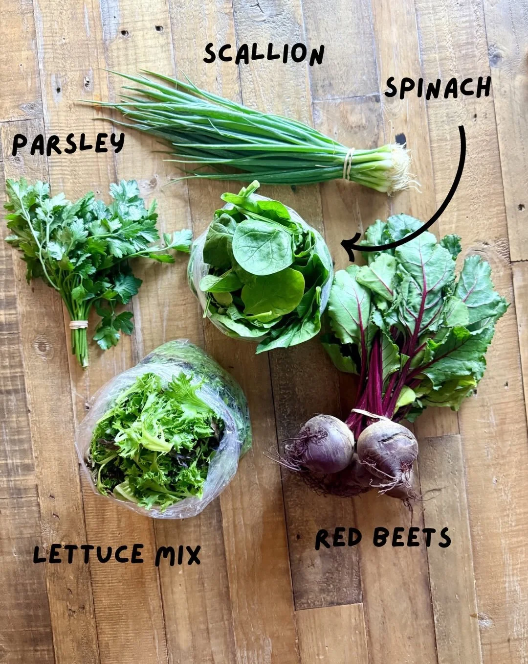 CSA Week 4️⃣ coming in hot! This week&rsquo;s haul included spinach, scallion, lettuce mix, parsley, and red beets.