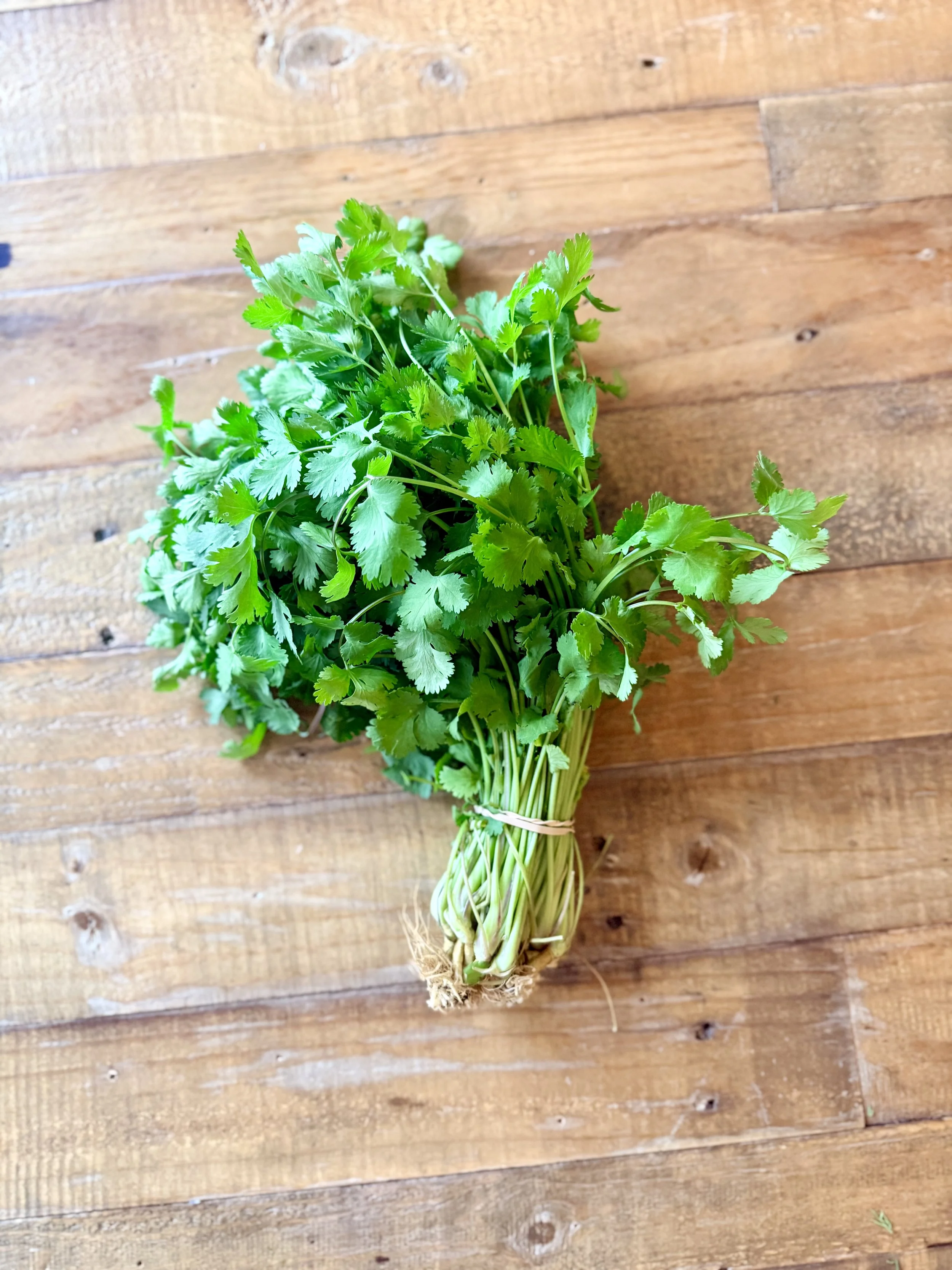 Cilantro, 1 Bunch