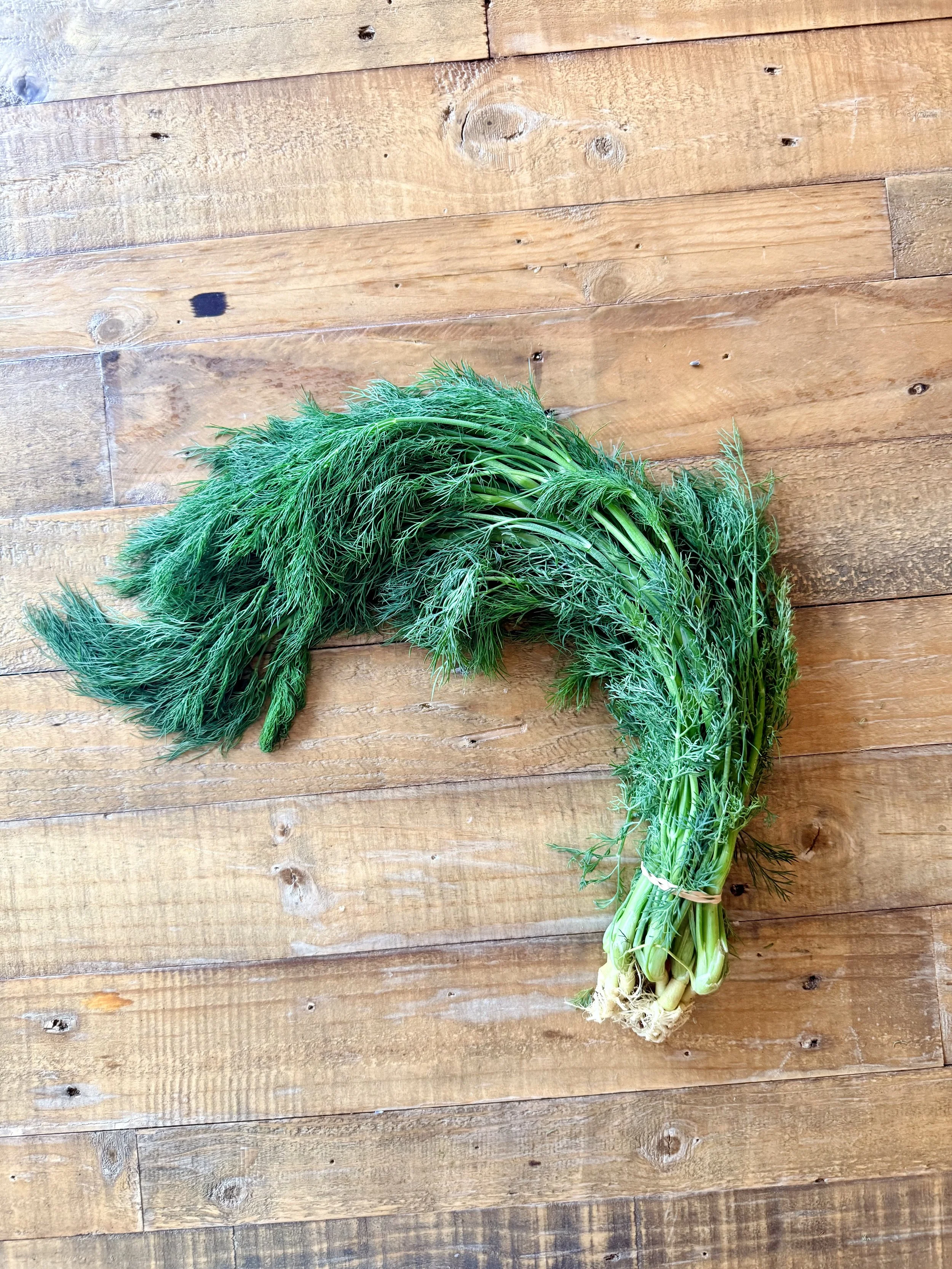 Dill, 1 Bunch