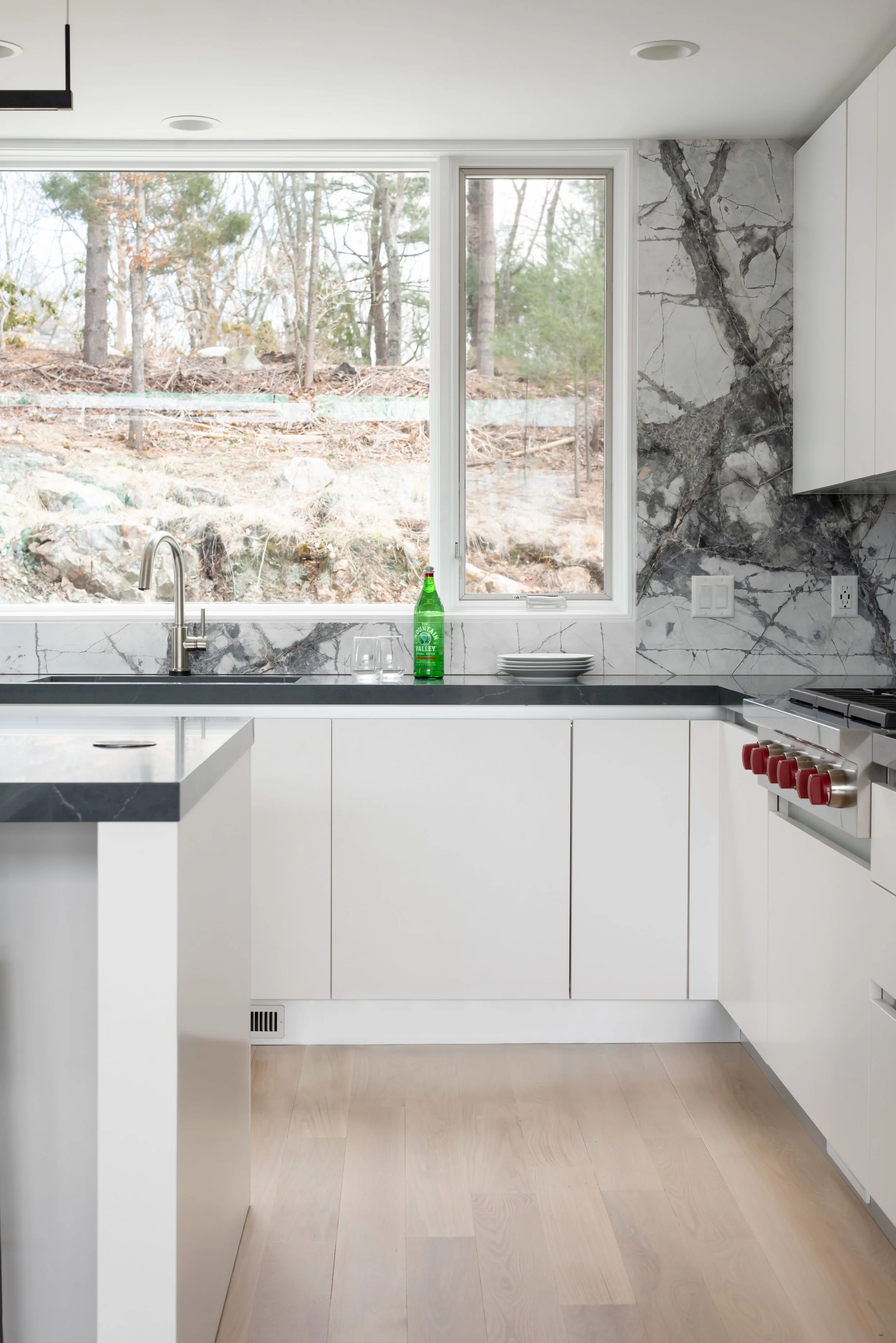 Kitchen Window.jpg
