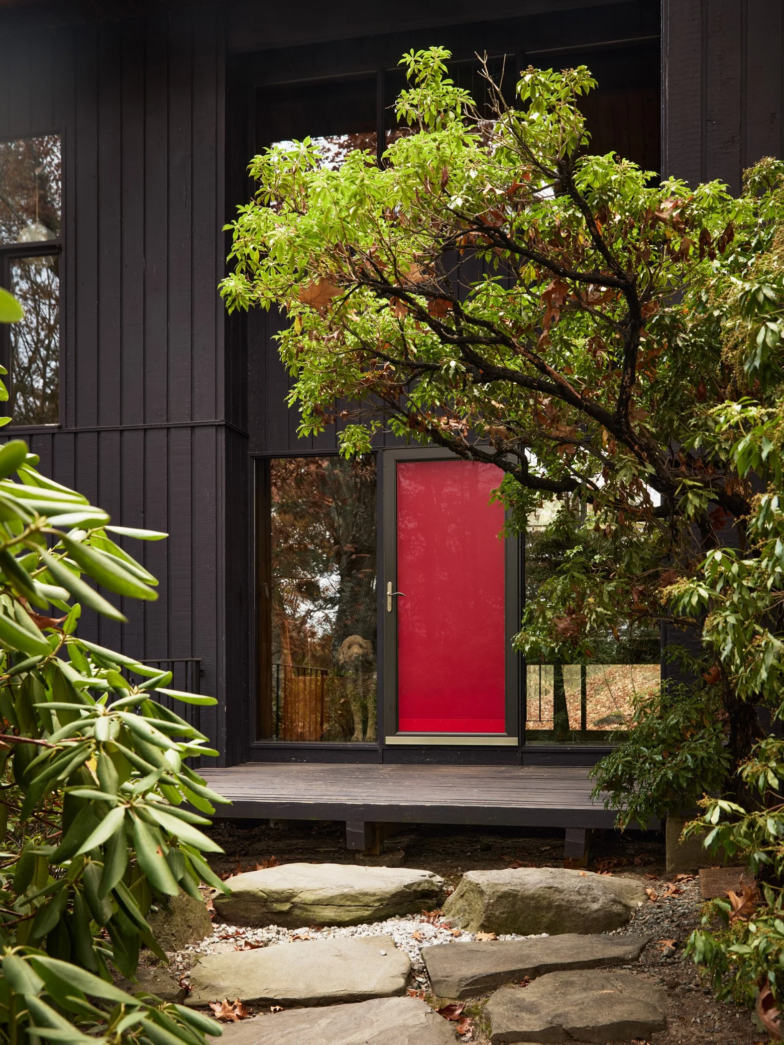 SashyaThind_Home_31_S.jpg