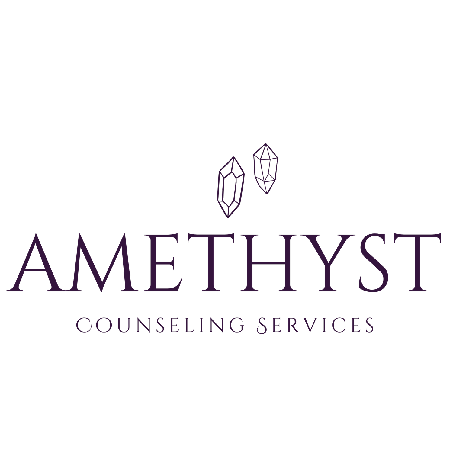 Amethyst Counseling Services LLC 