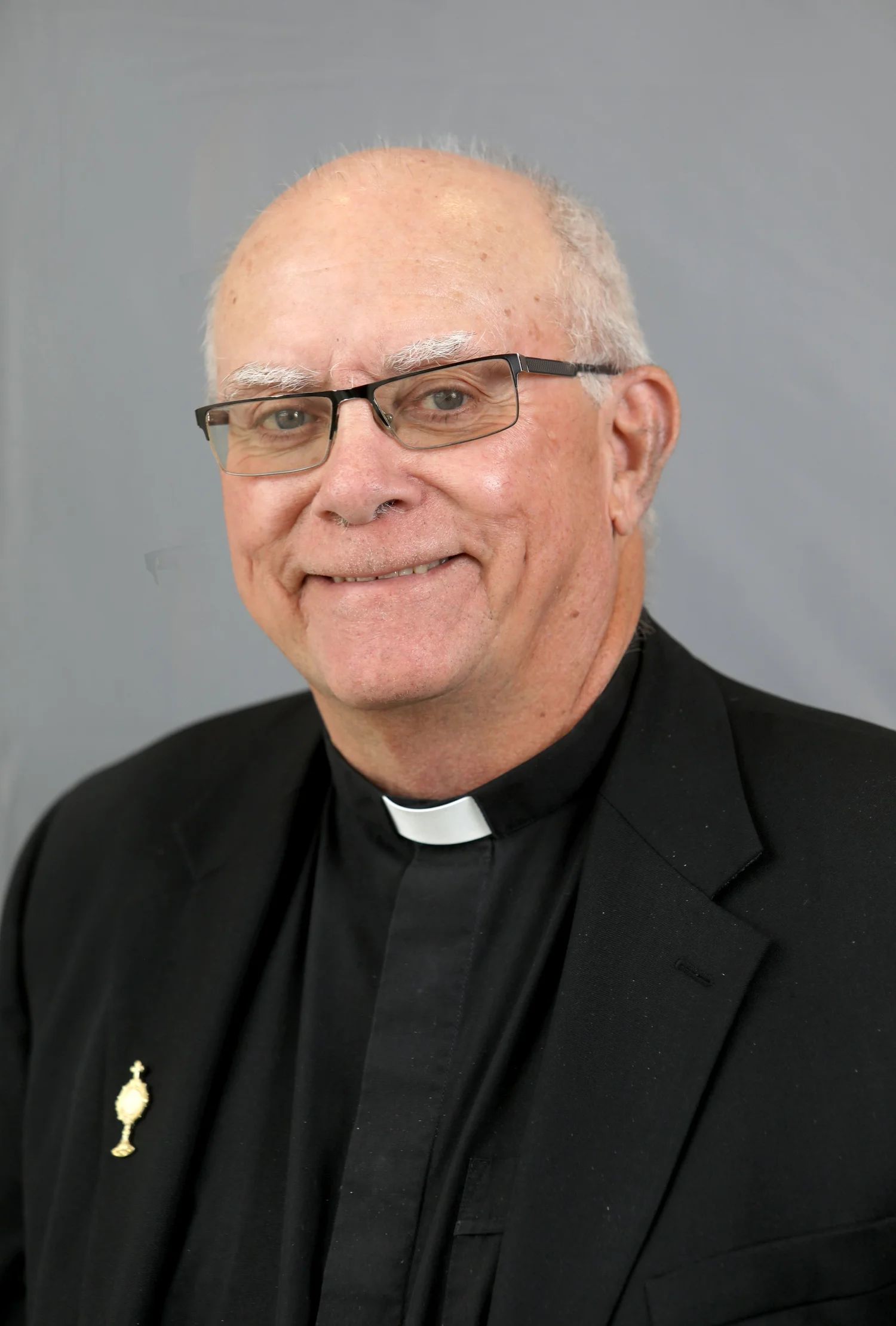 Father David Sabel — Catholic Diocese of Peoria