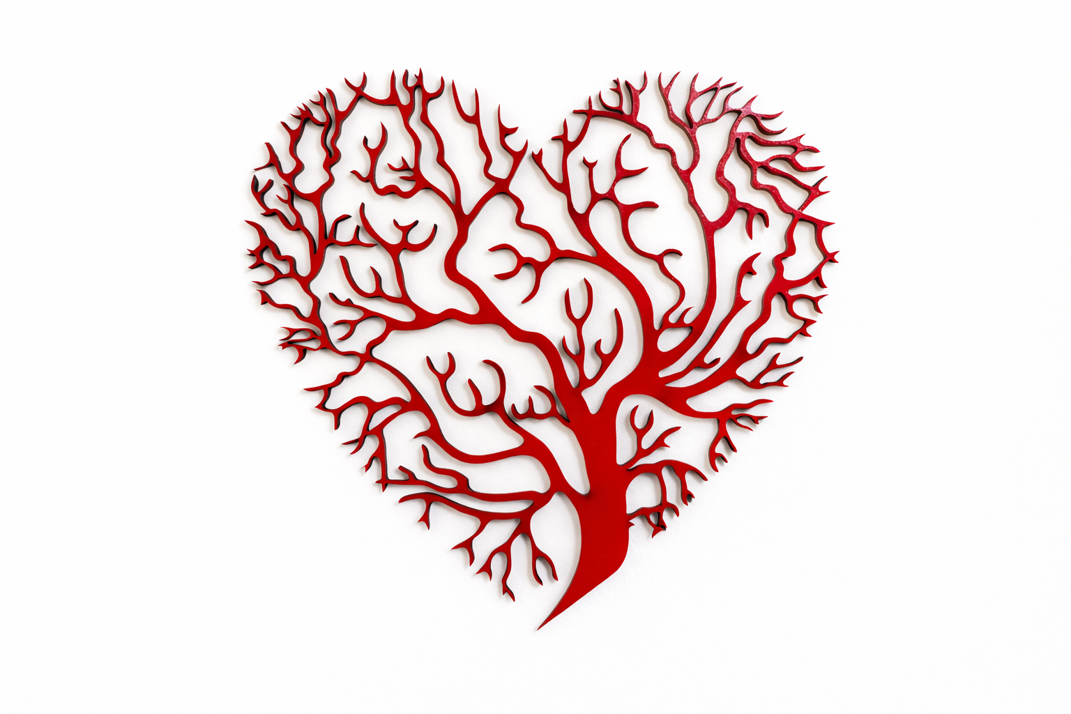 heart roots.PNG