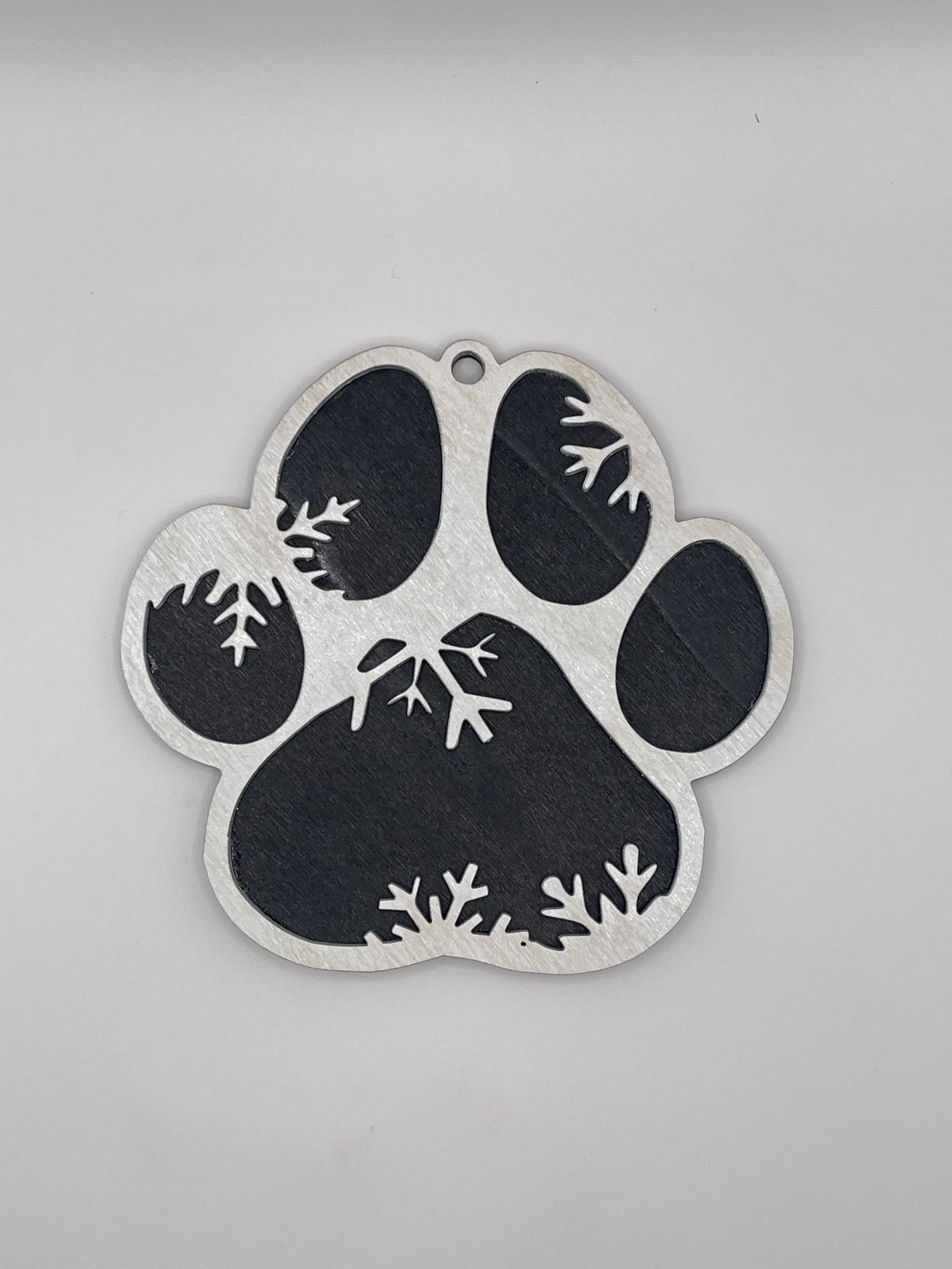 Dog Paw 1.JPG