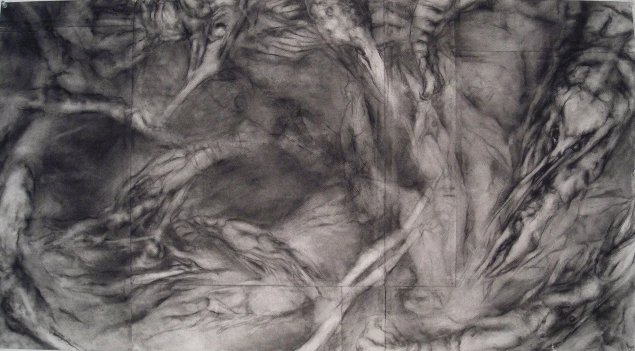 “Crayfish” 2007, Charcoal, 36"x18"