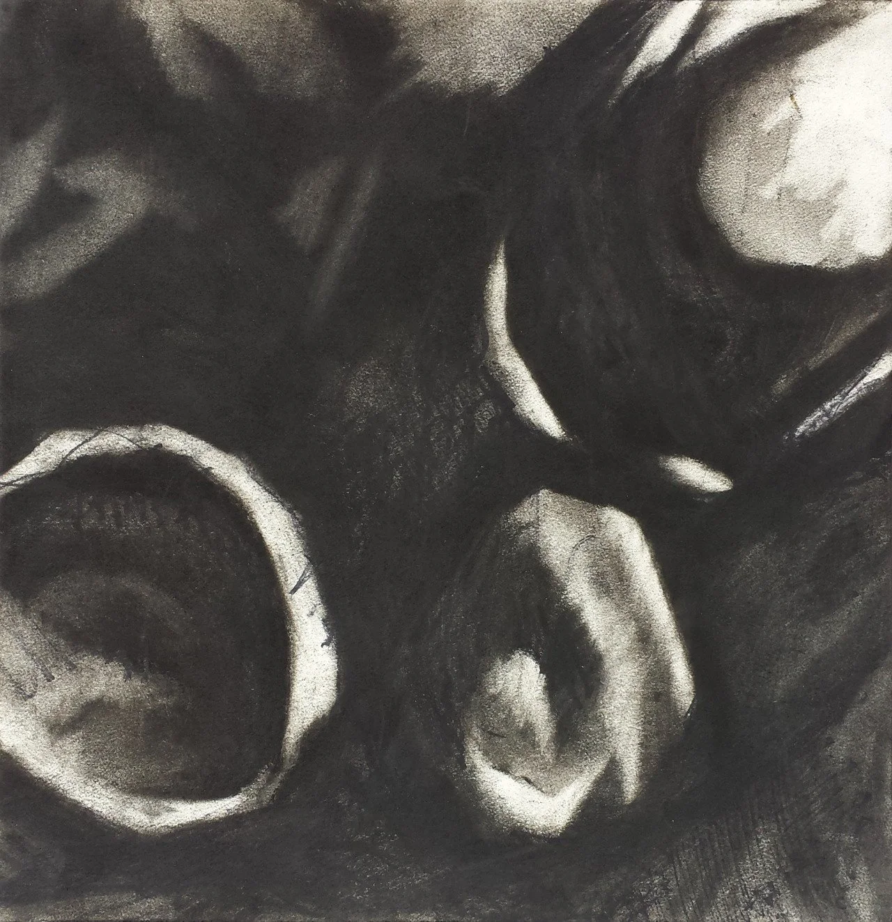 “Diorama #9” 2007, Charcoal, 12"x12"