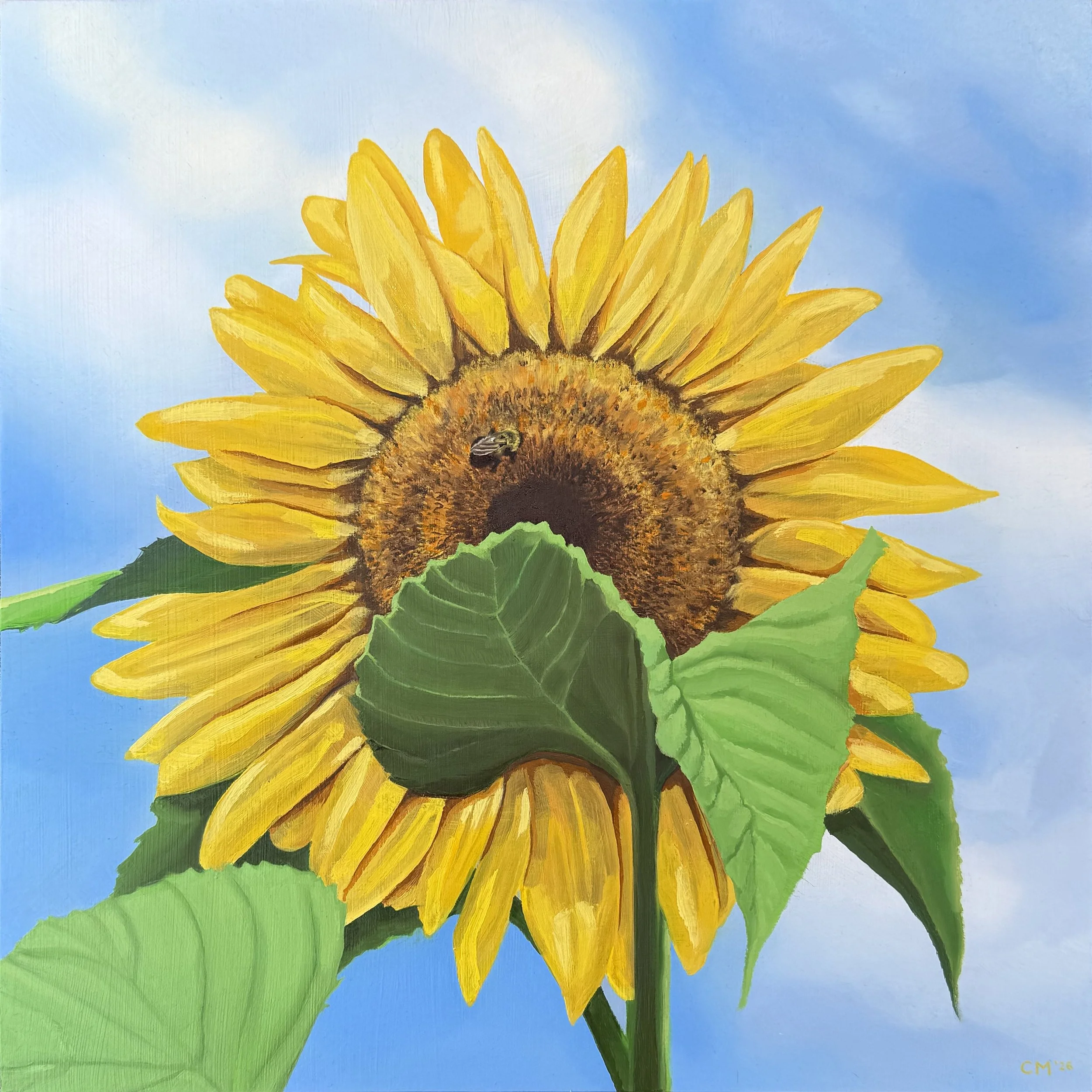 “Bzzzzzzzzz” 2026, Oil on board, 12"x12"
