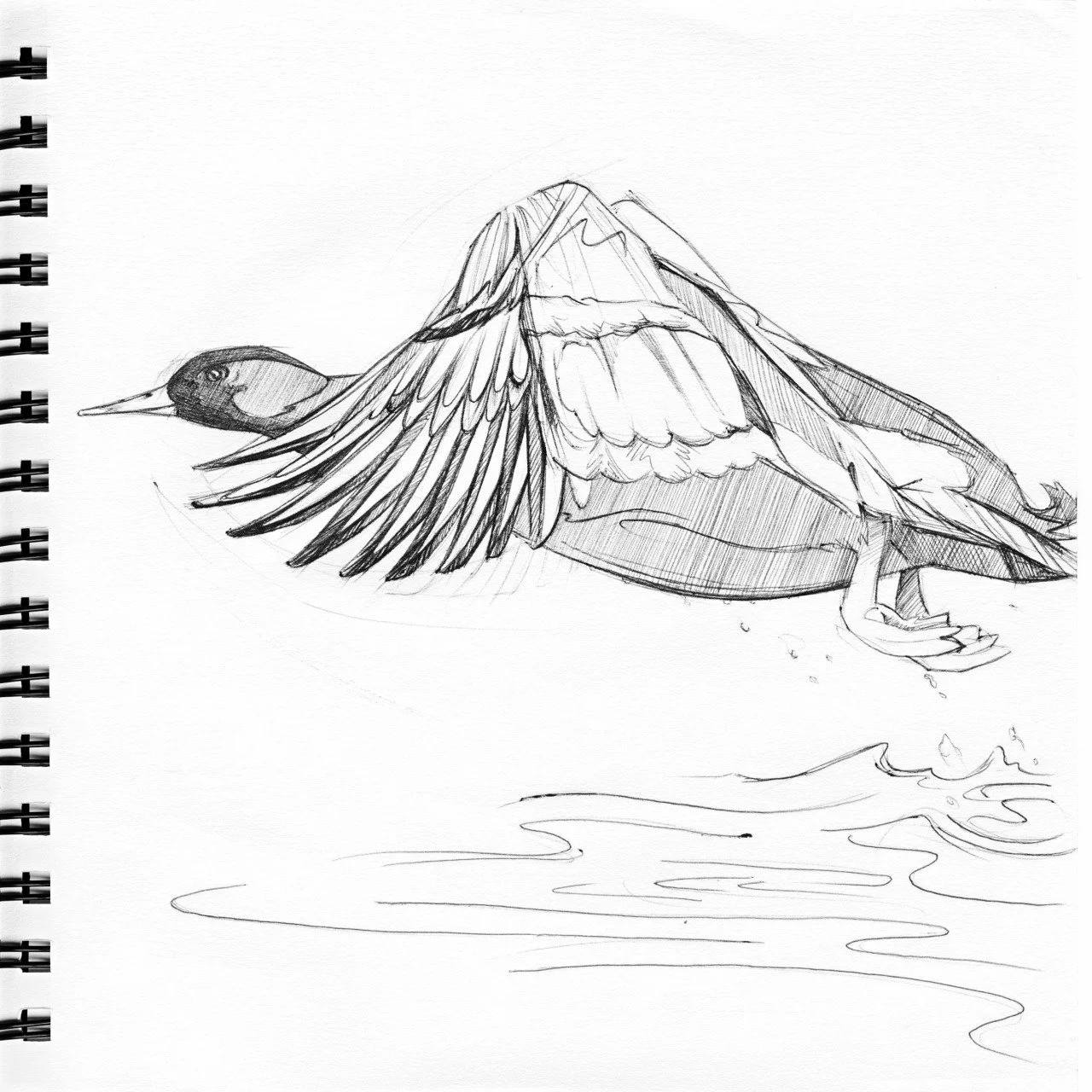 Pentel pen on paper, 8"x8", 2013