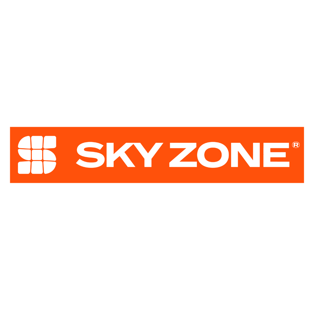 SkyZone Logo