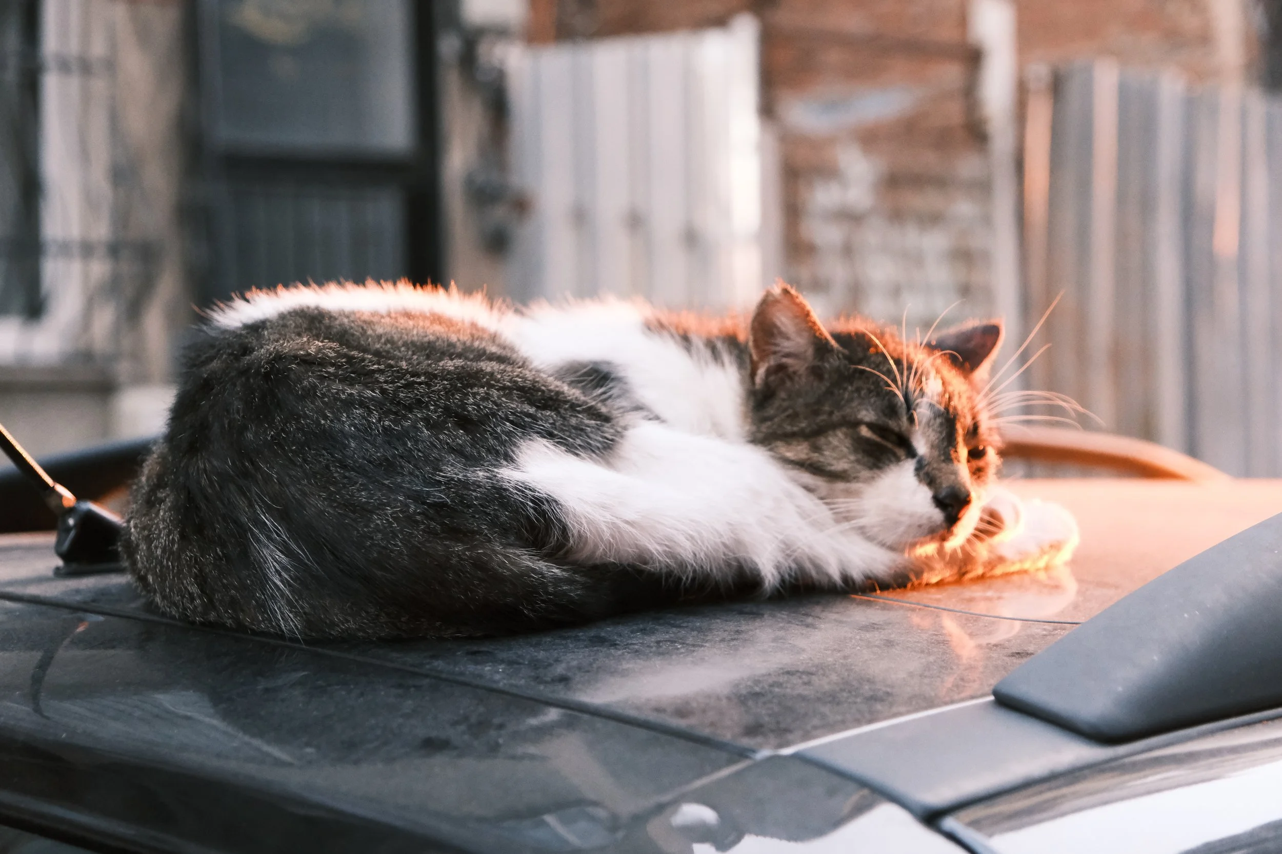 20220402_200521000_iOS 2.jpg