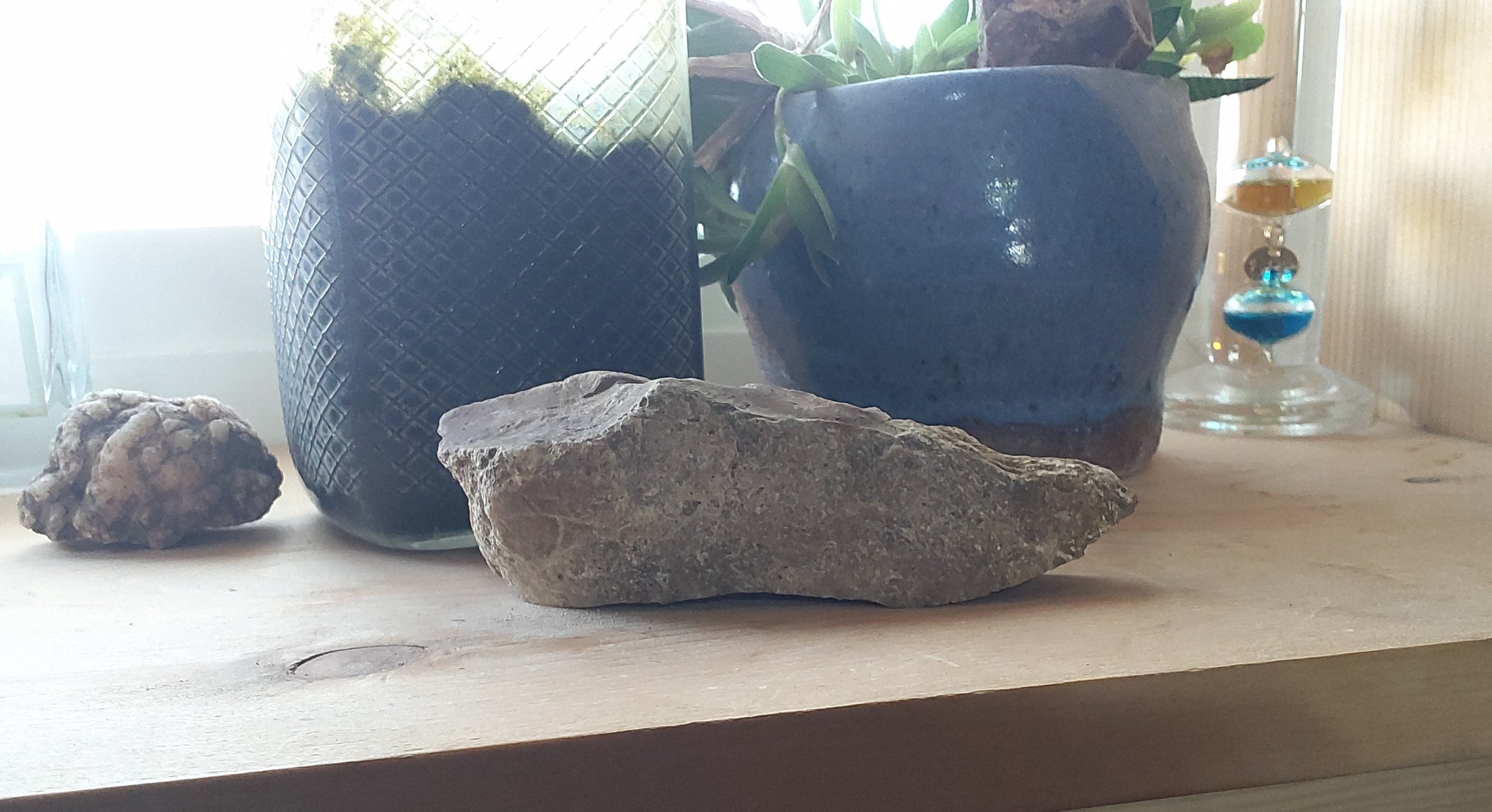 20240313_104455~2.jpg