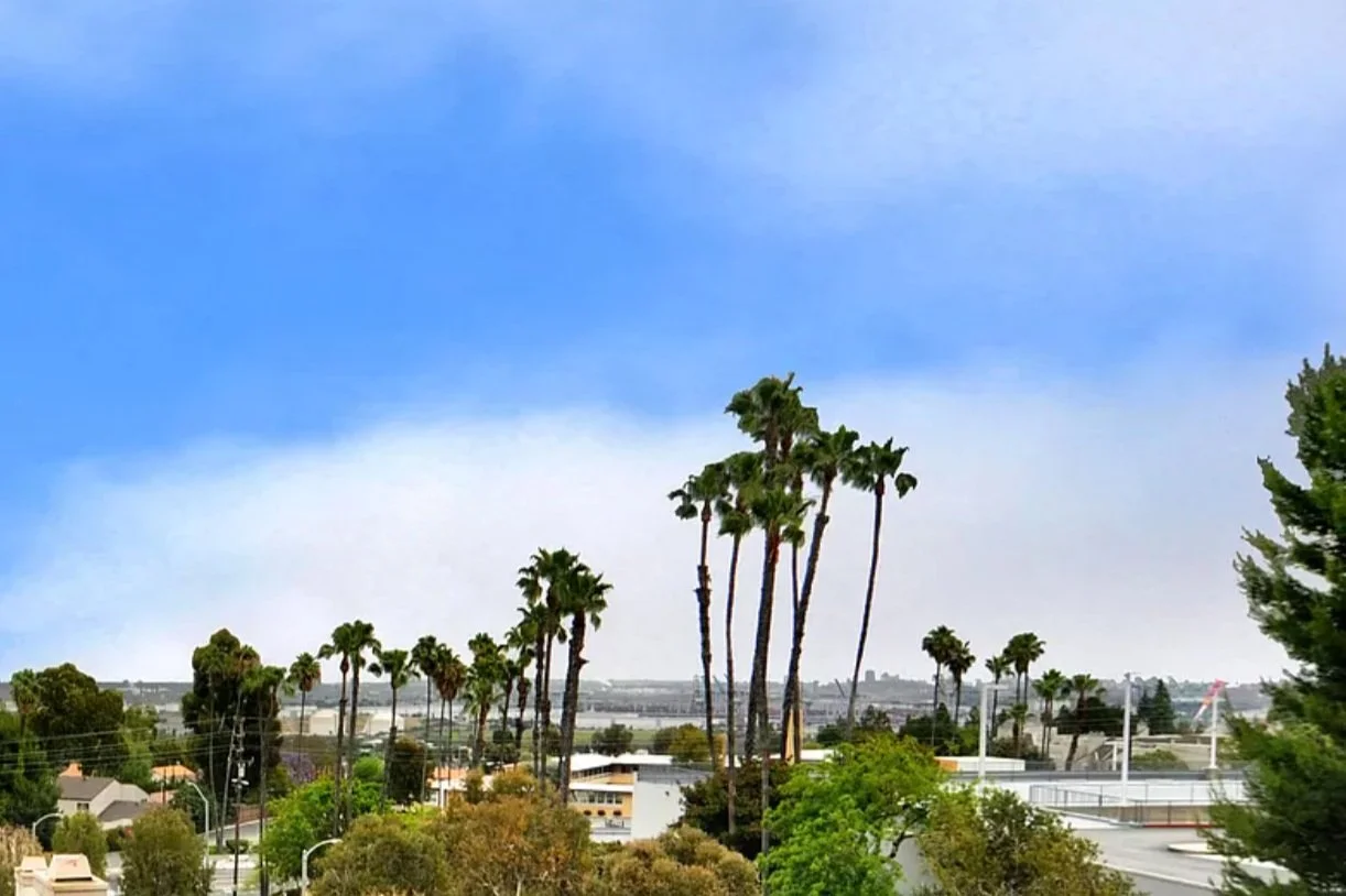 Screen Shot 2024-01-31 at 15.03.10.jpg