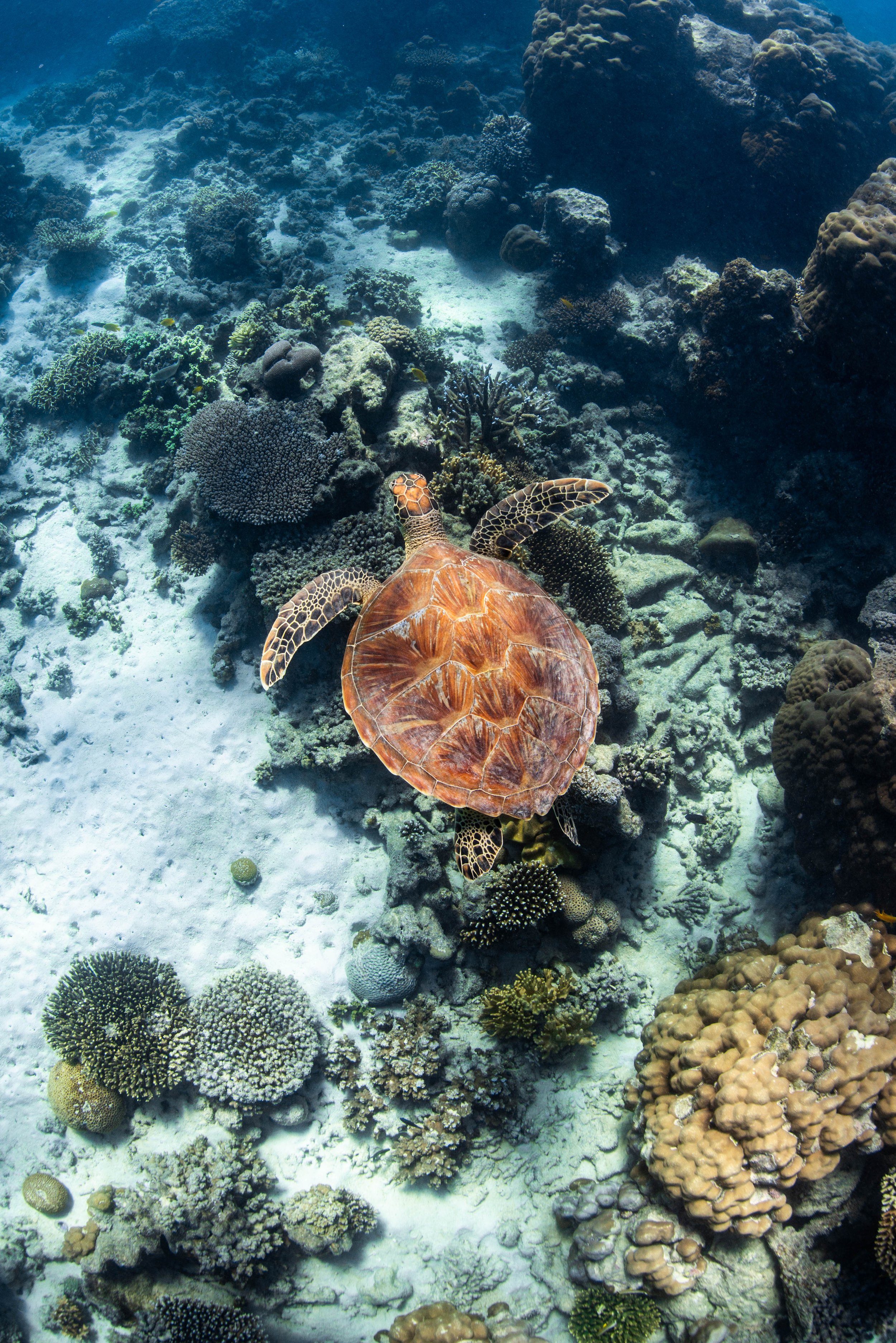 Kings Ningaloo Reef Tours 26.05.24 Elle Gillett-4345.jpg