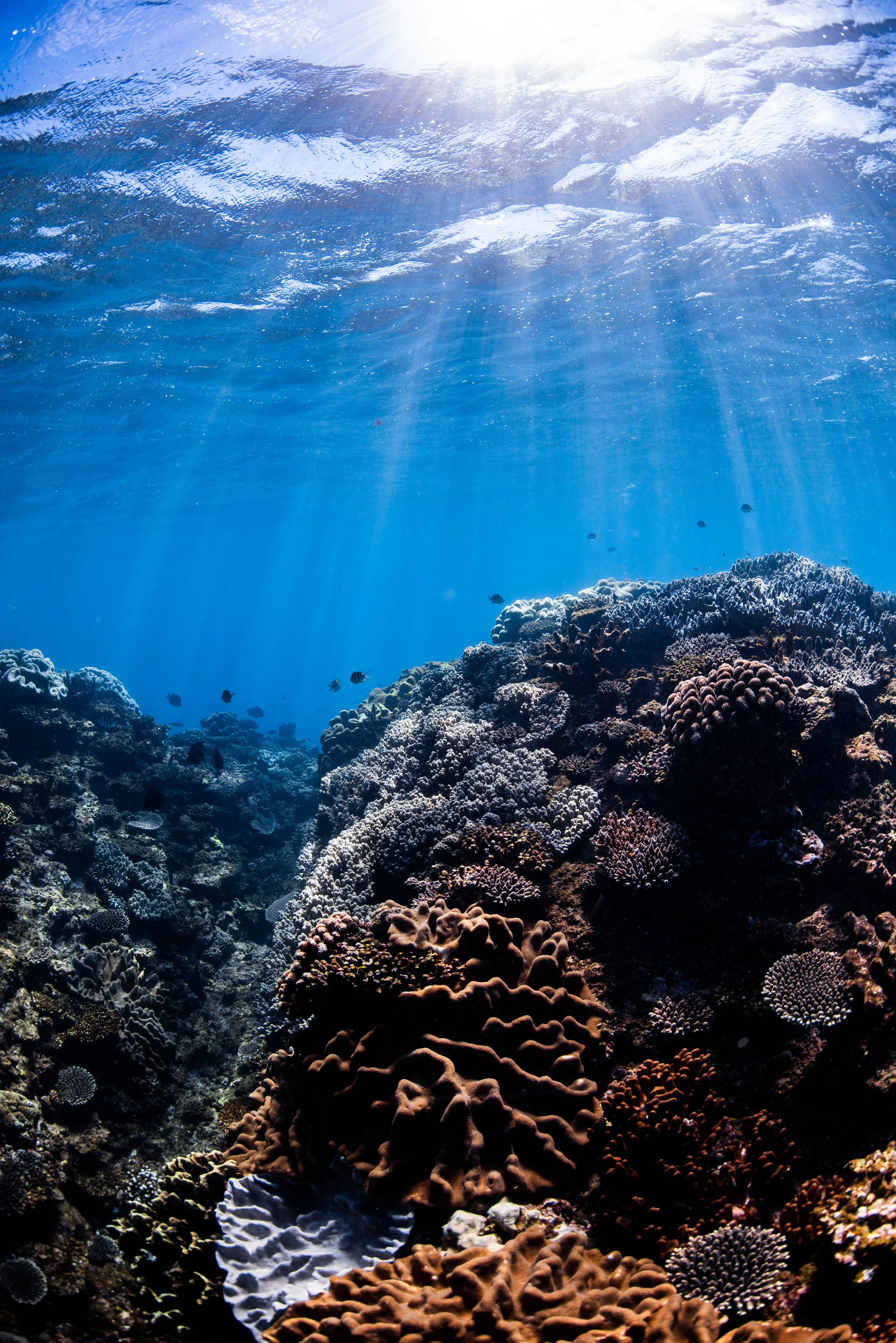 Kings Ningaloo Reef Tours 14.07.24 Elle Gillett-3185.jpg