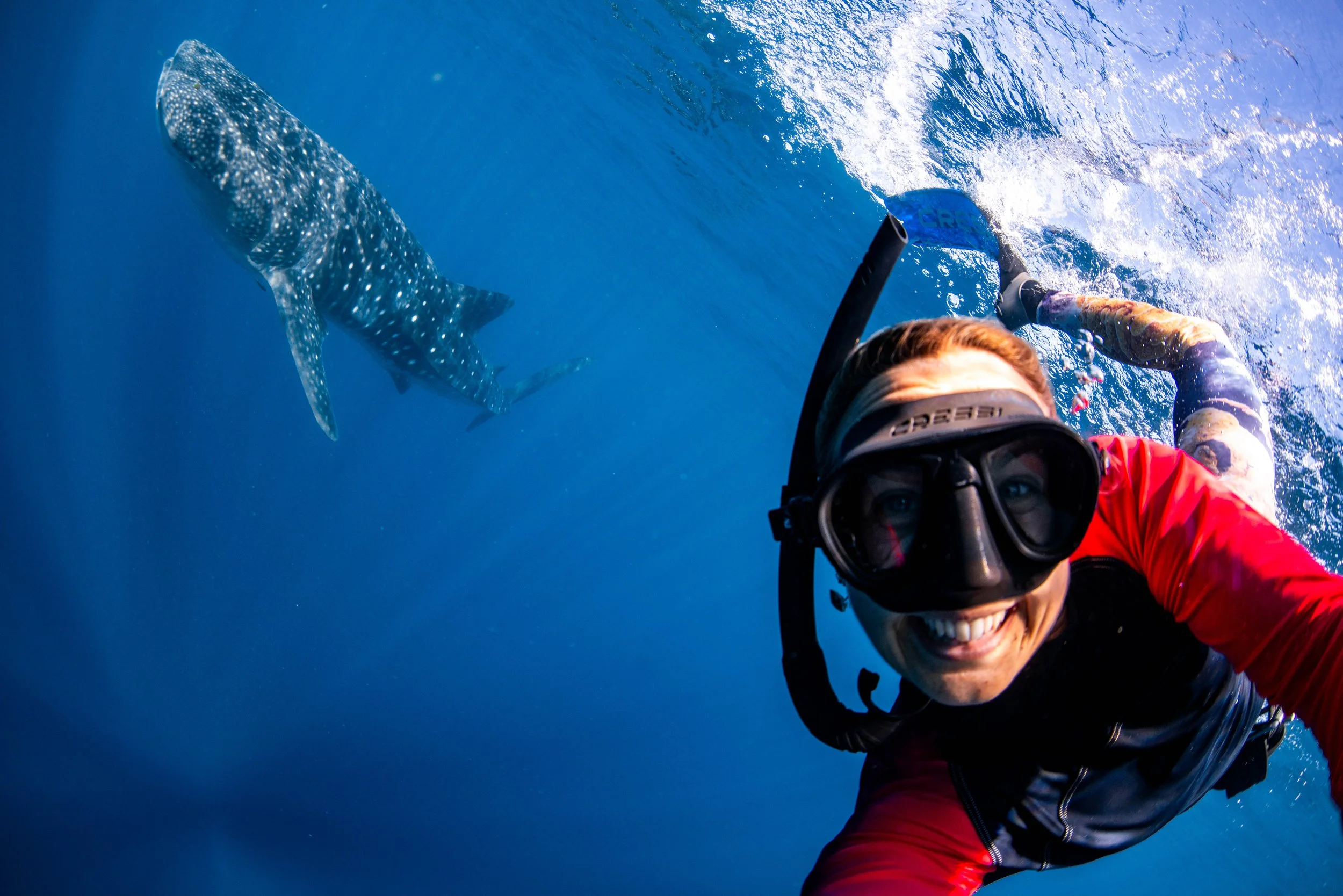 Kings Ningaloo Reef Tours 24.05.24 Elle Gillett-3654.jpg