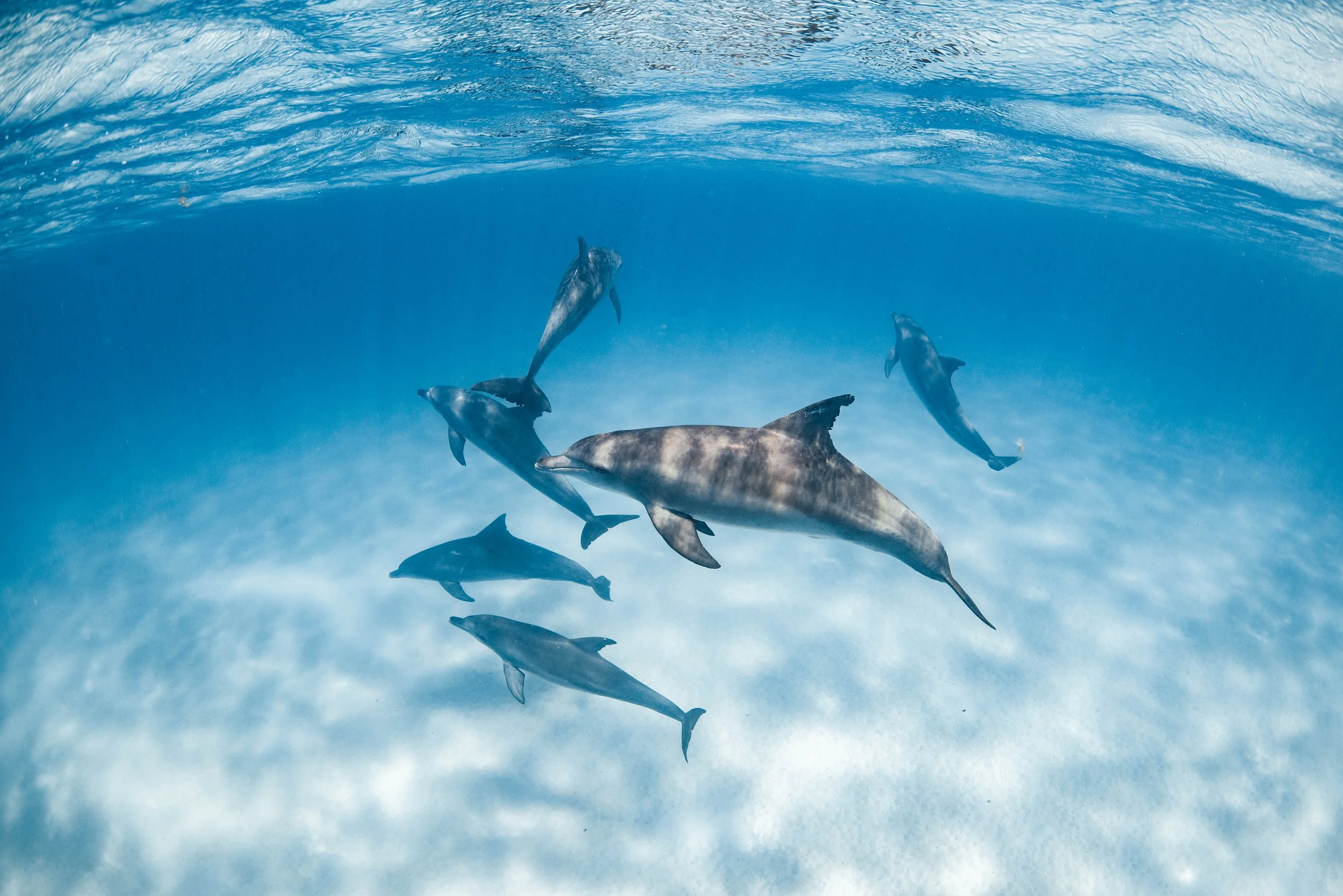 Kings Ningaloo Reef Tours 20.09.24 Elle Gillett-8211.jpg