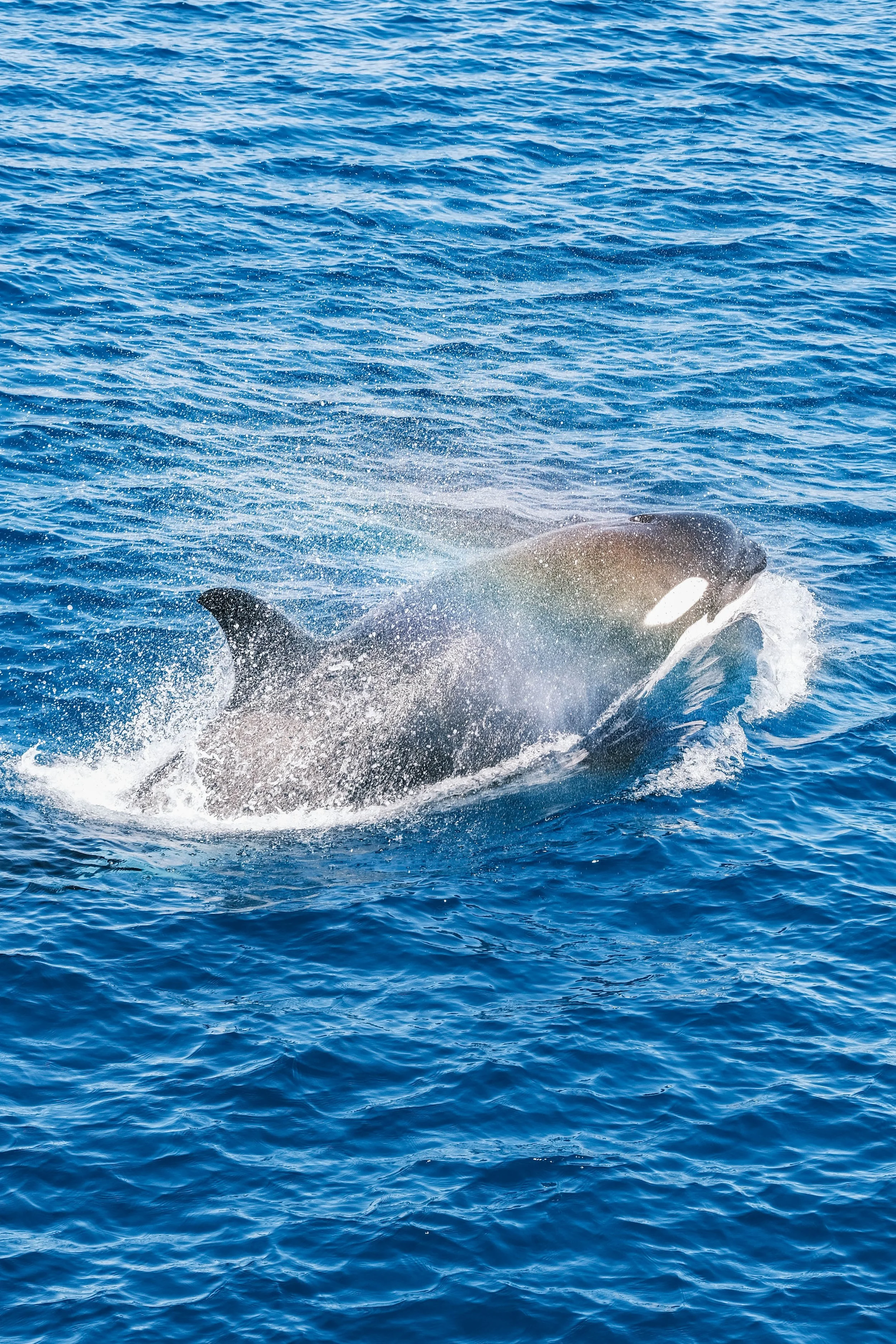 Kings Ningaloo Reef Tours 25.08.24 Elle Gillett-9176.JPG
