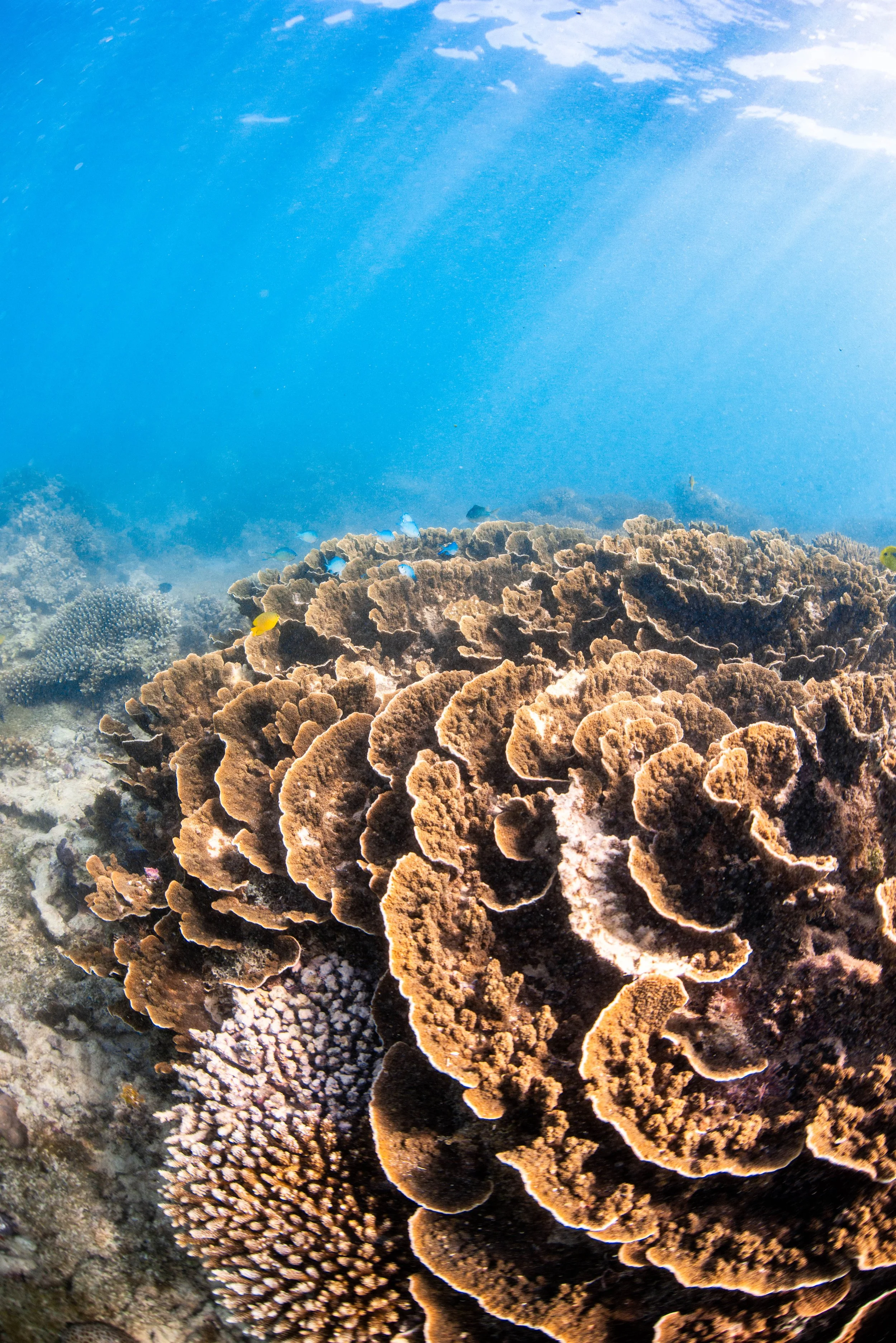 Kings Ningaloo Reef Tours 27.05.24 Elle Gillett-4847.jpg