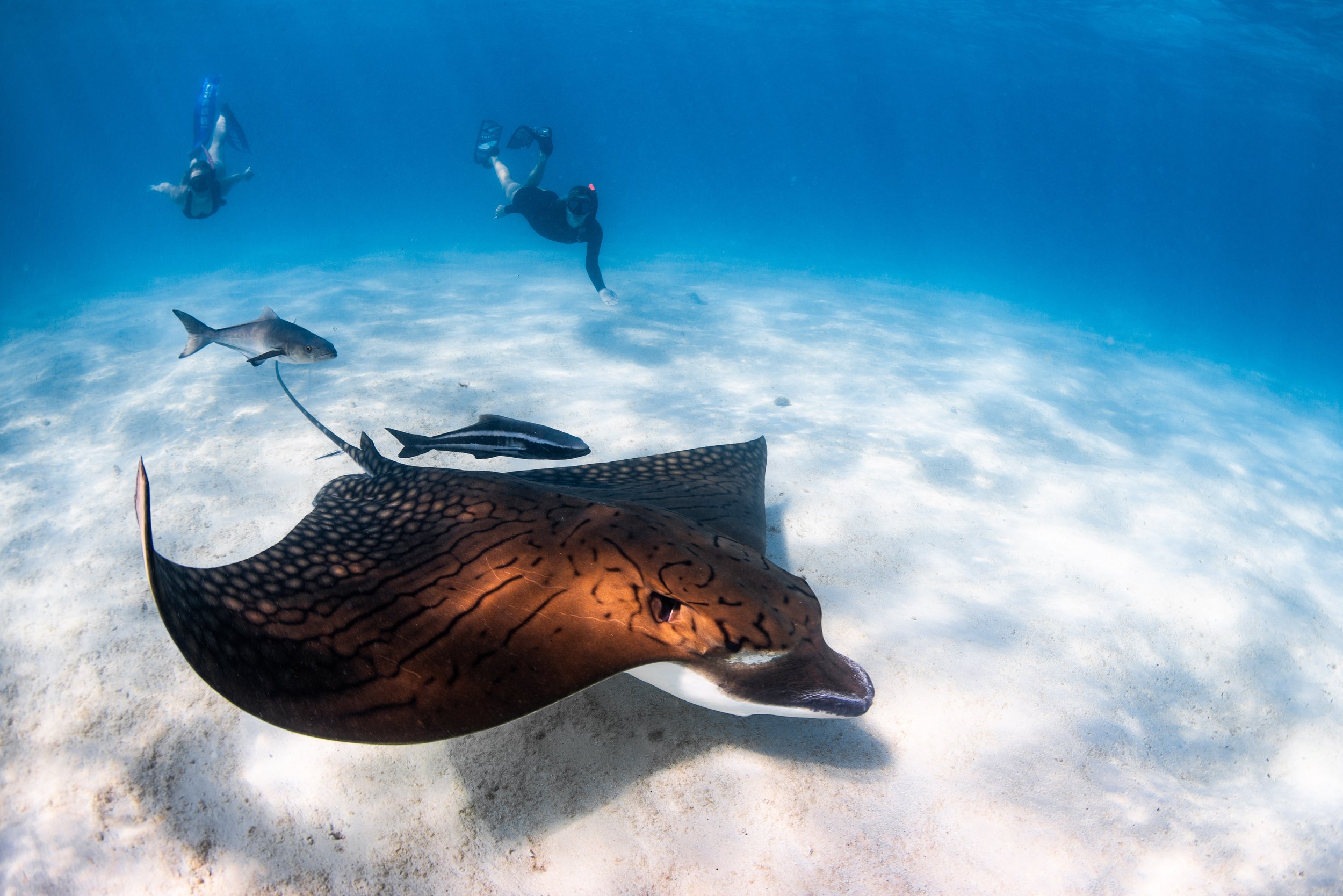 Kings Ningaloo Reef Tour 05.05.24 Elle Gillett-9149.jpg
