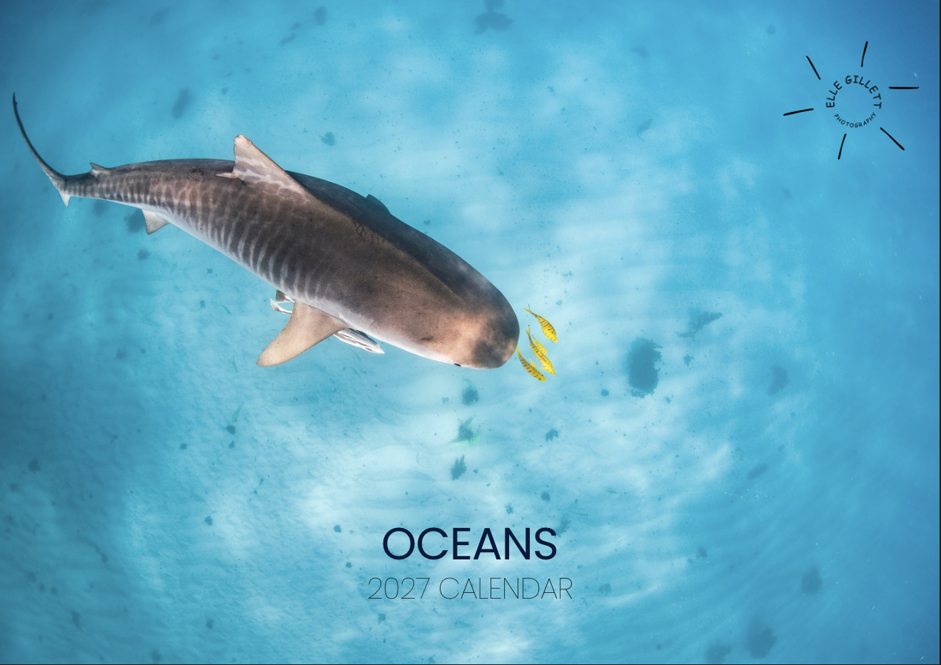 Screenshot 2026-10-12 at 11.37.54 am.png