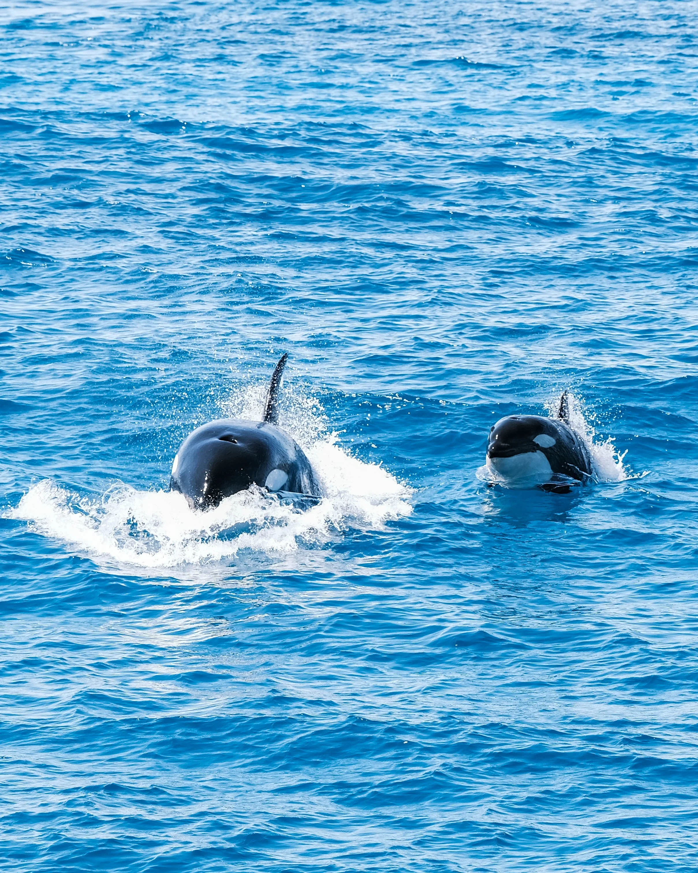 Kings Ningaloo Reef Tours 25.08.24 Elle Gillett-9113.JPG