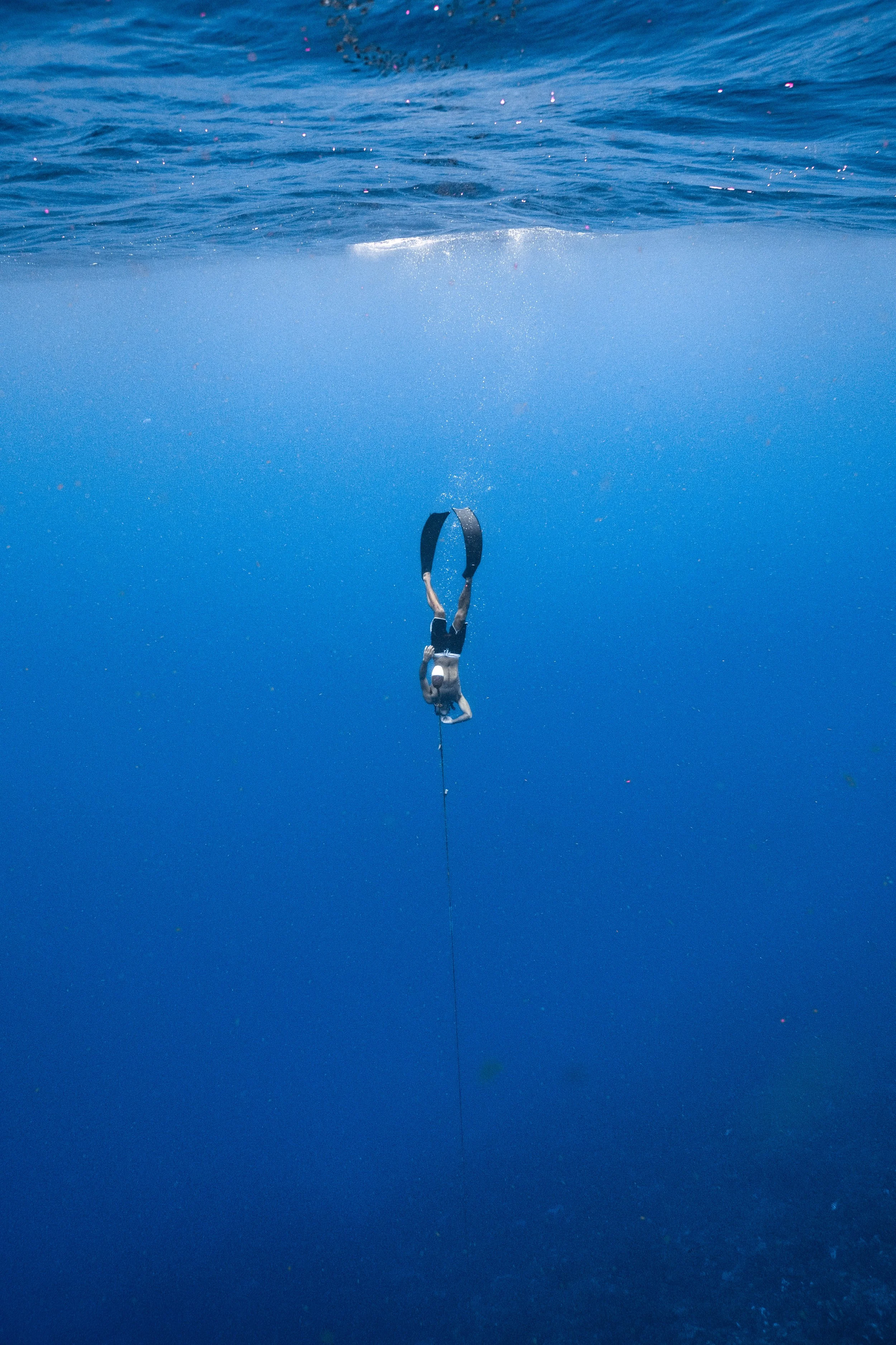 bonaire-1.jpg