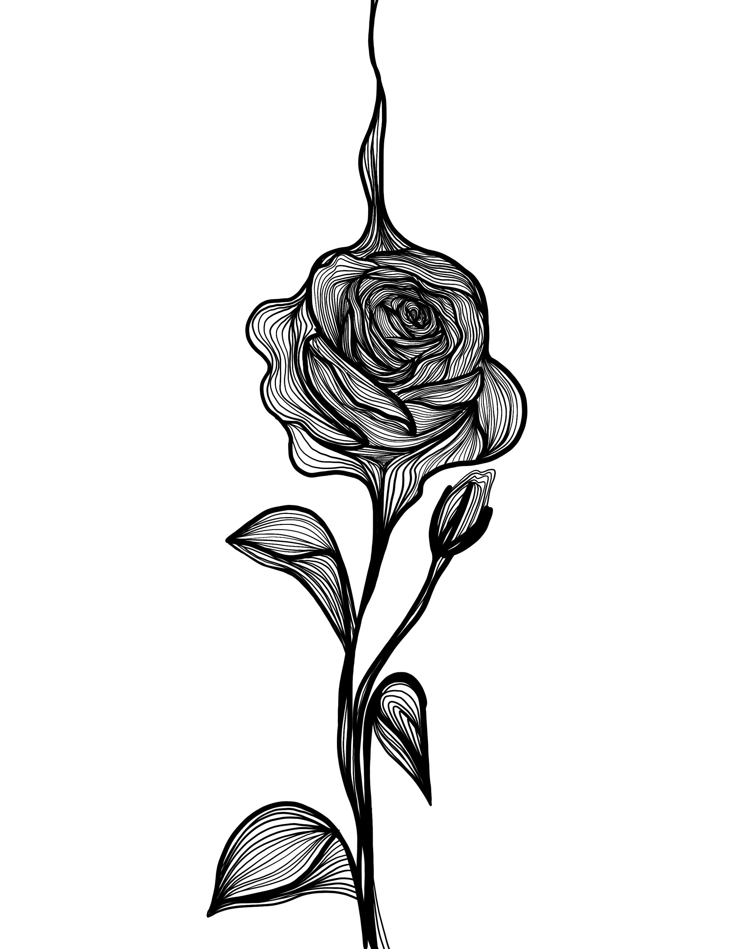 Untitled_Artwork 2 copy 3.jpg