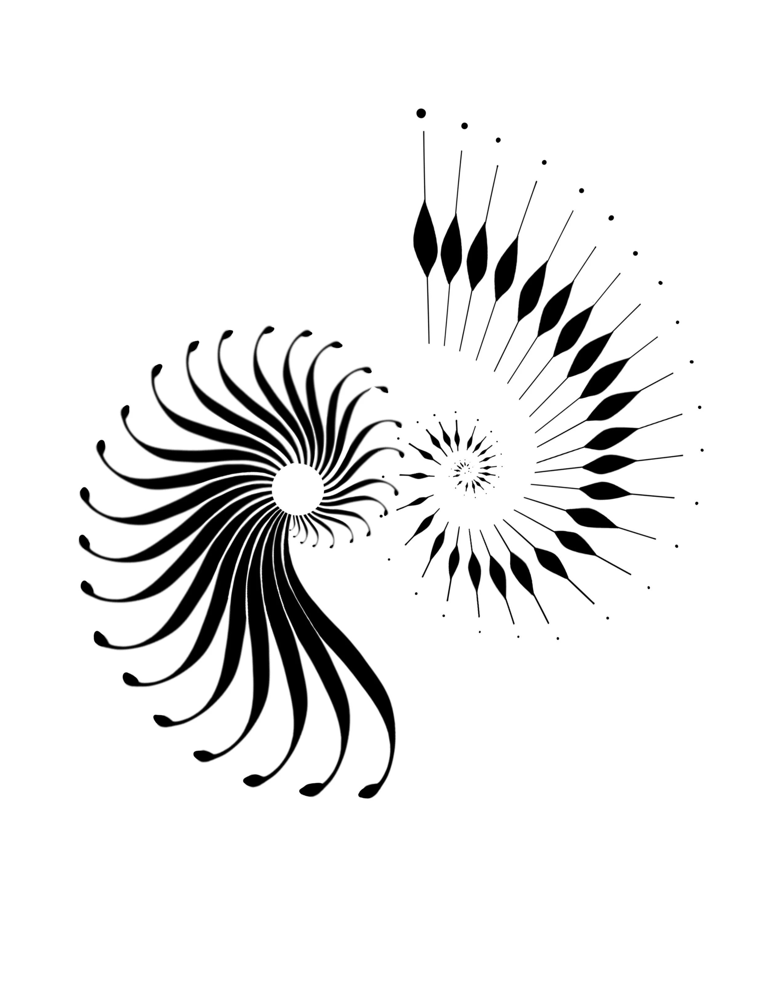 Untitled_Artwork 2 copy 11.jpg