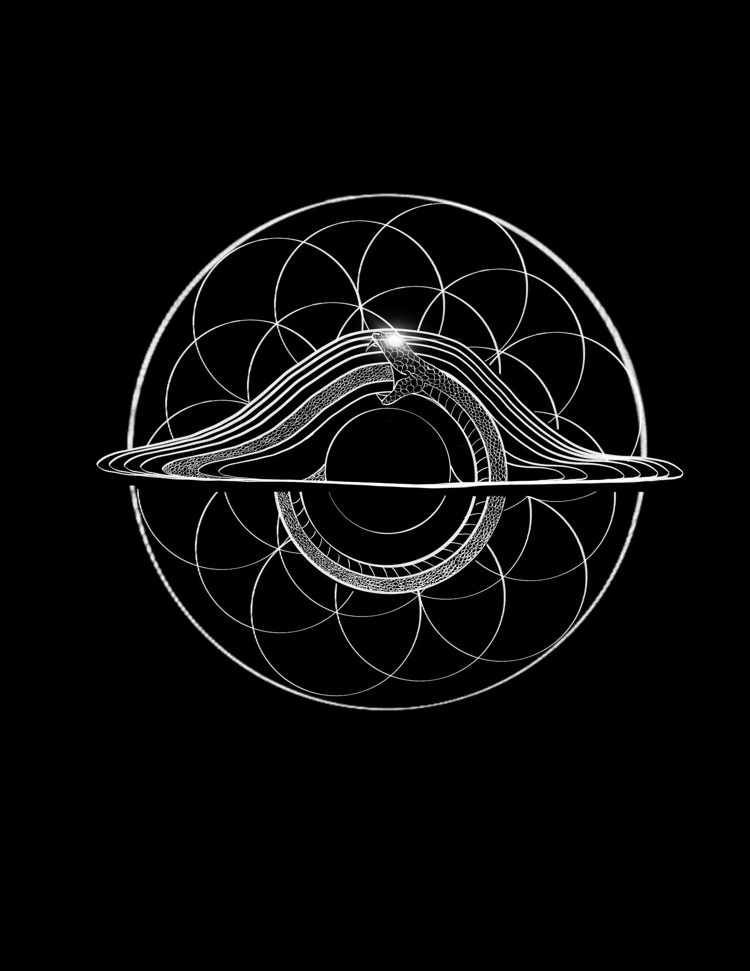 Untitled_Artwork 5.jpg