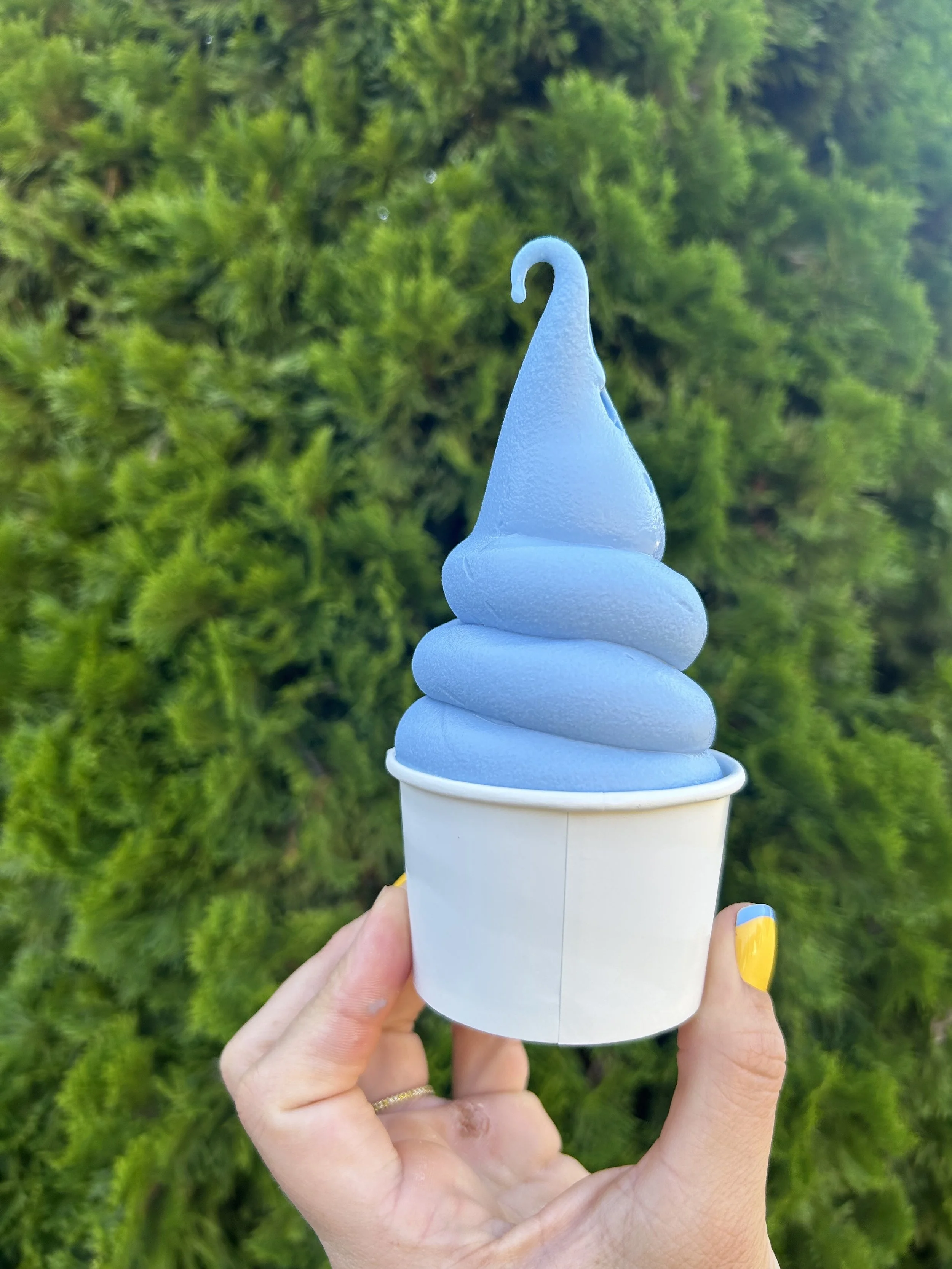 blue jean vanilla bean.jpg