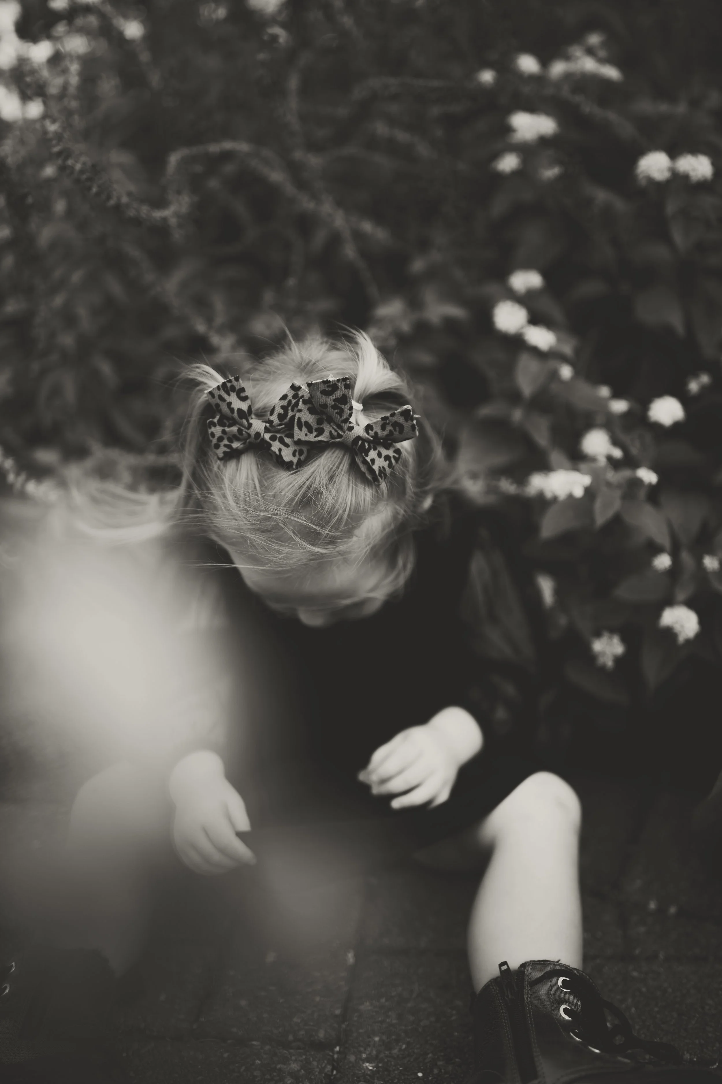 _S4A3588.jpg