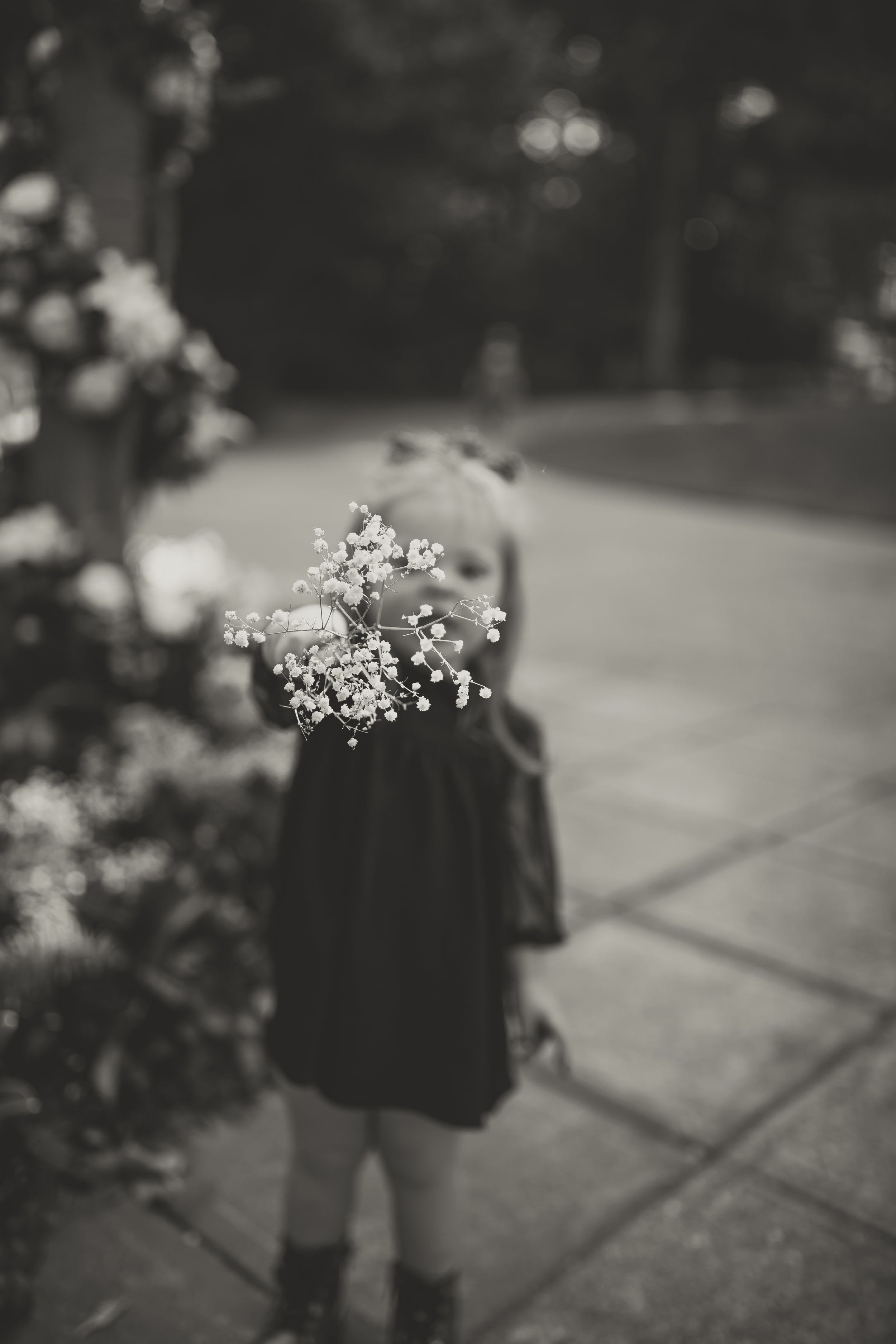 _S4A3646.jpg