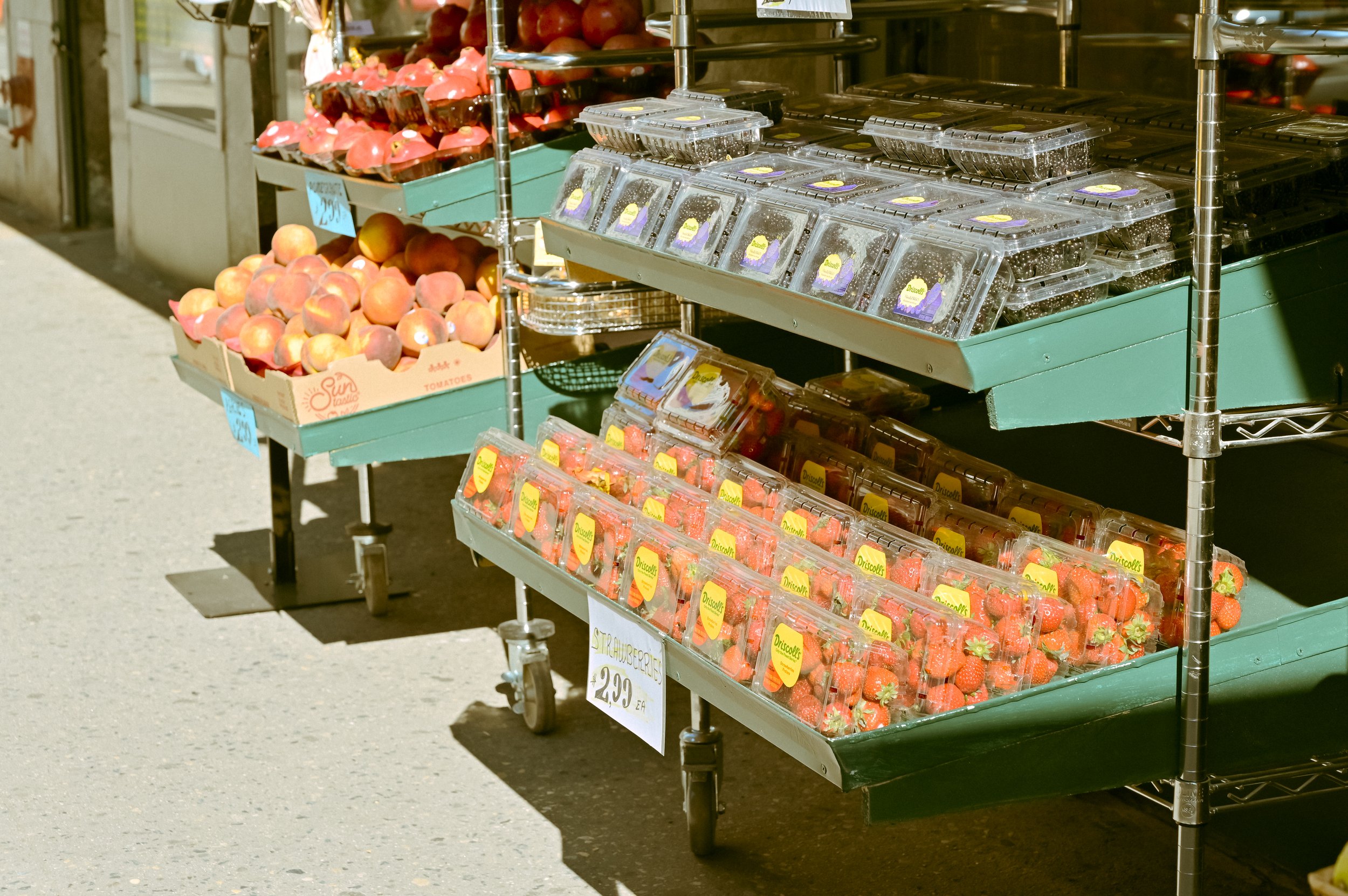 _DSC4616.jpeg